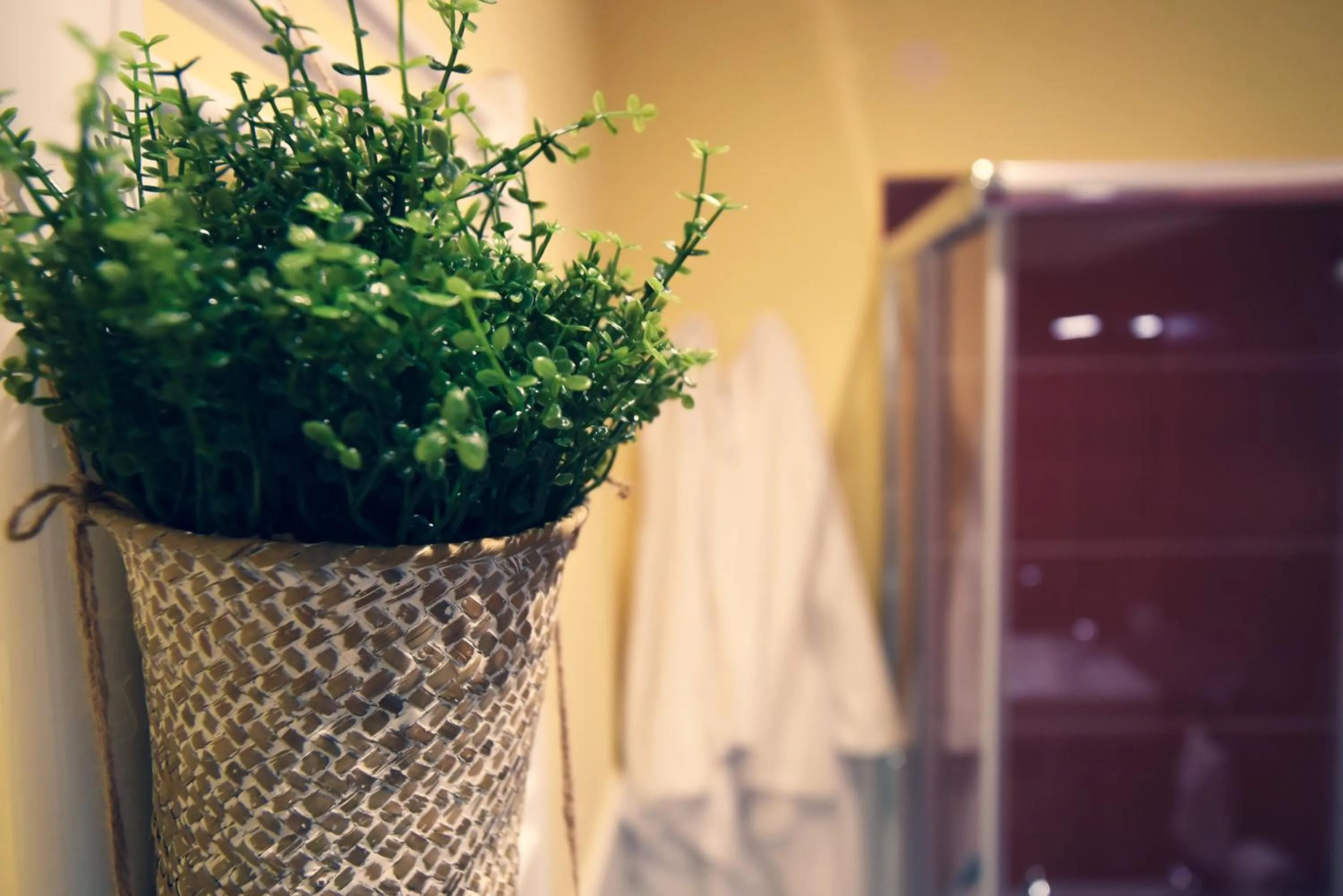 Shower in KAPSOTT B&B