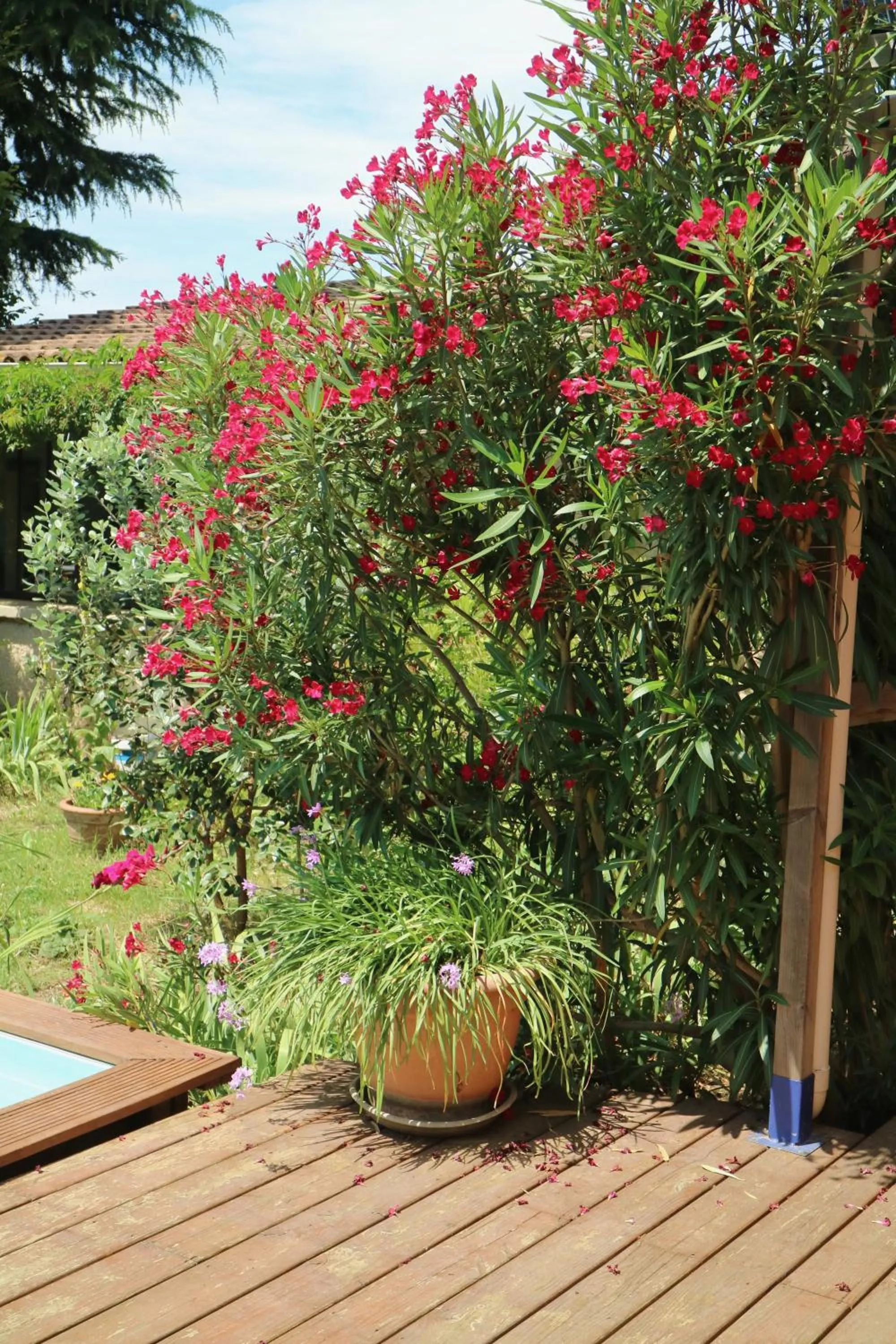 Un temps pour le rêve