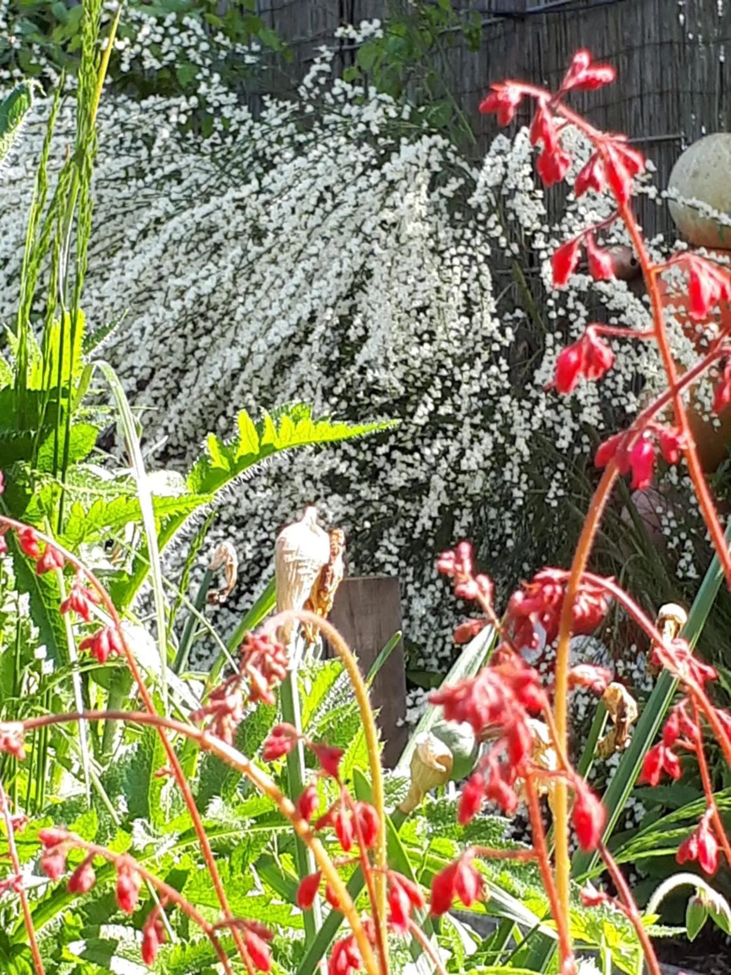 Garden in Lycia Rooms +