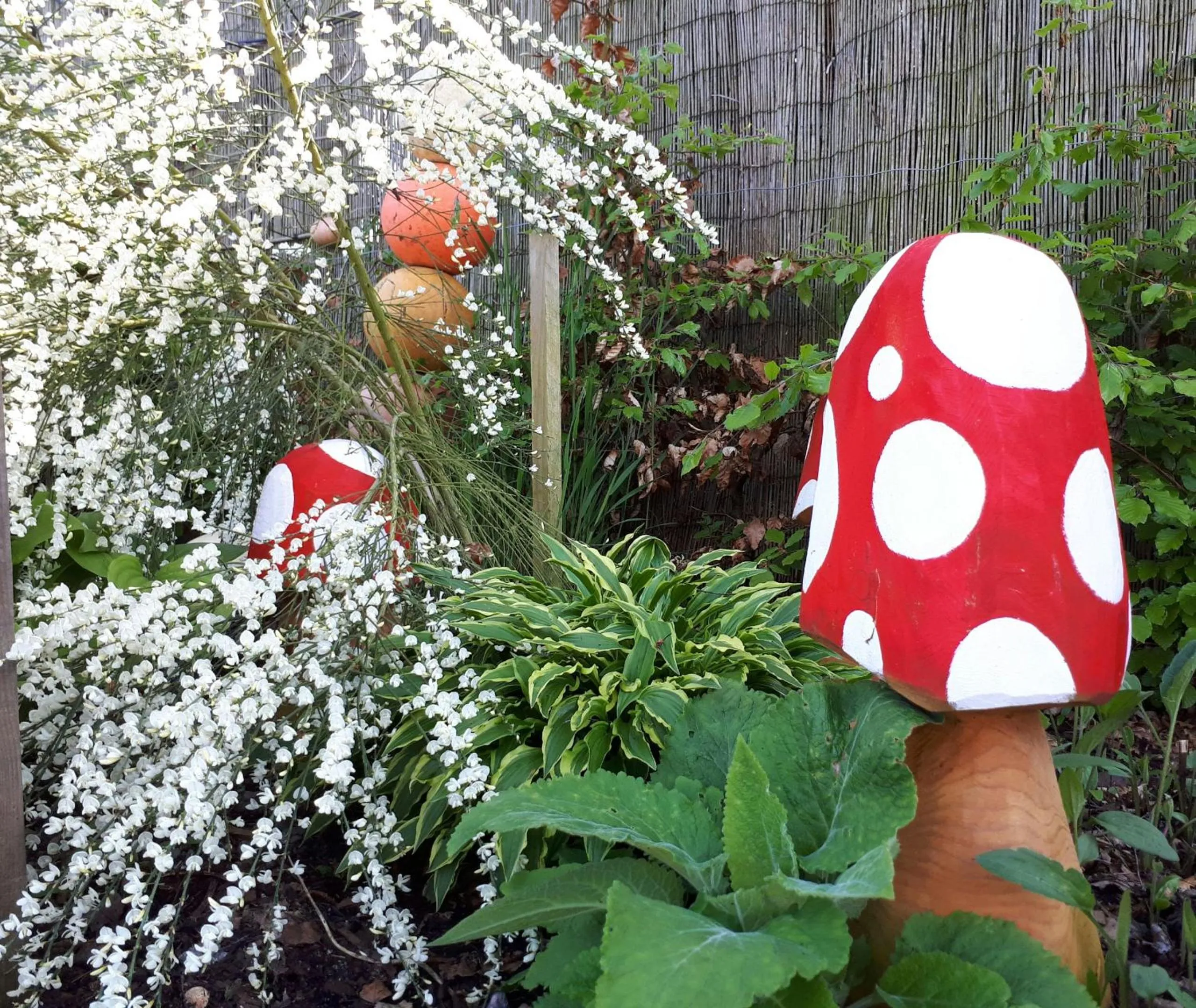 Garden in Lycia Rooms +