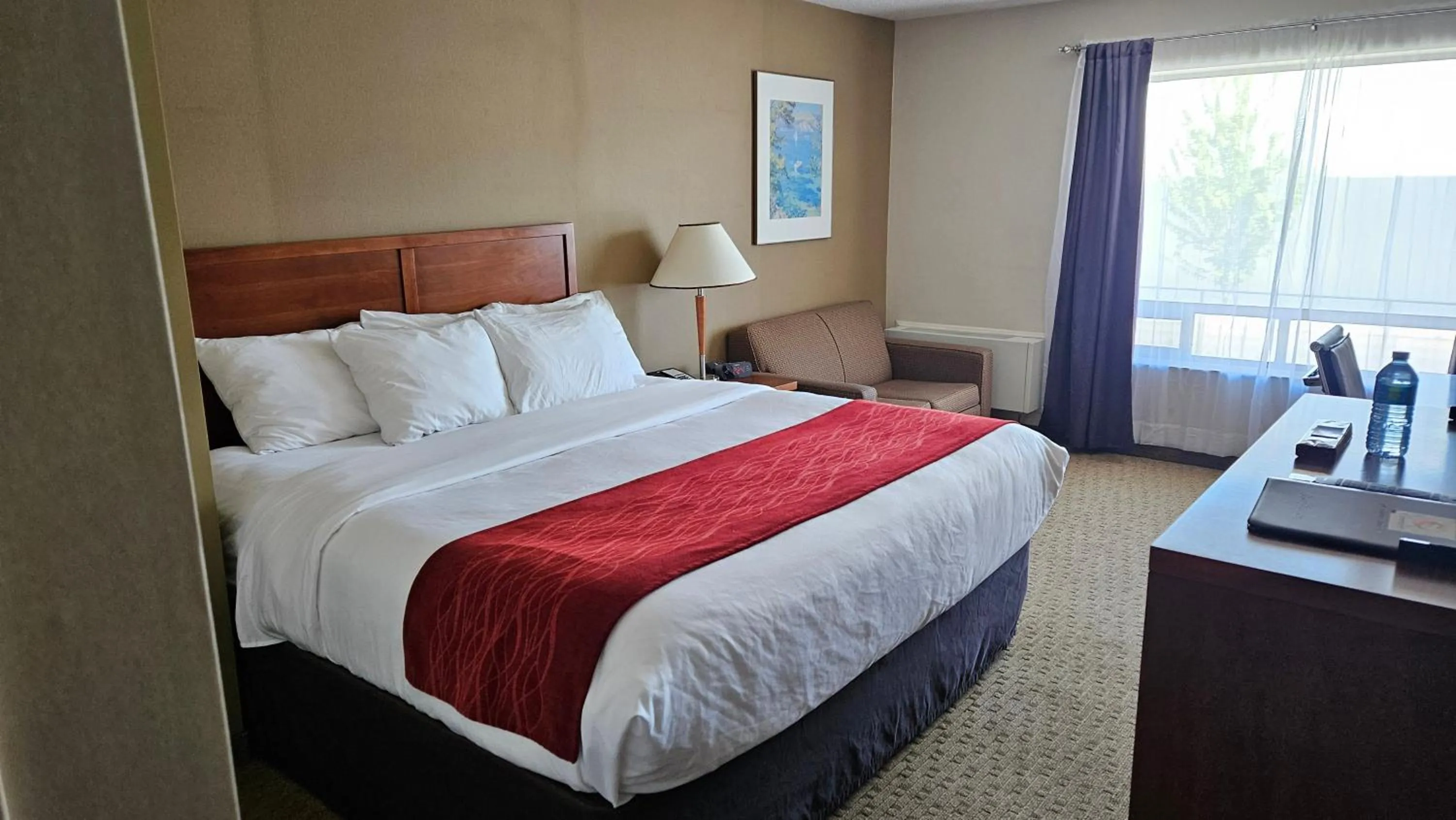 Bedroom, Bed in Comfort Inn