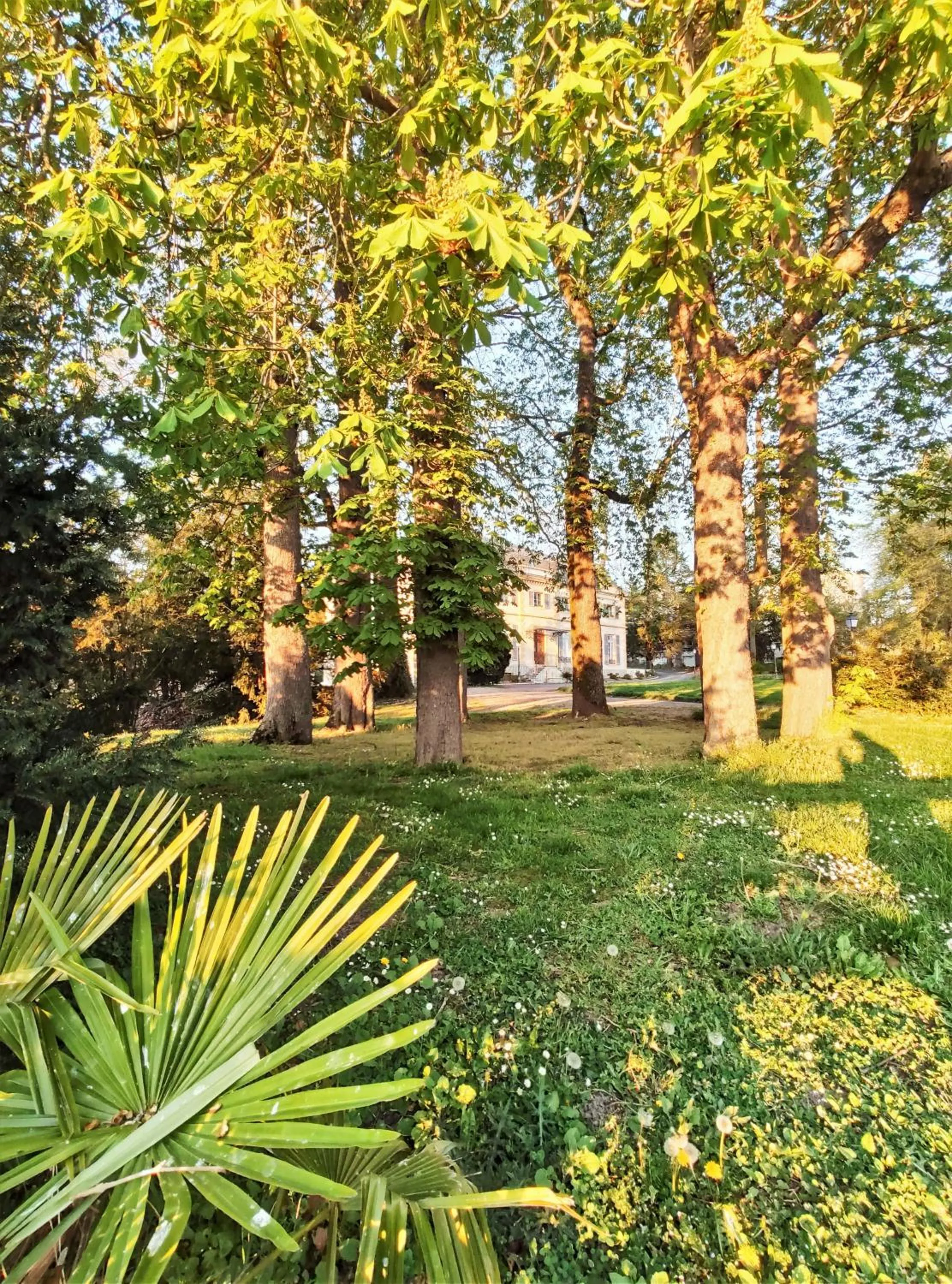 Garden in La Maison Verneuil