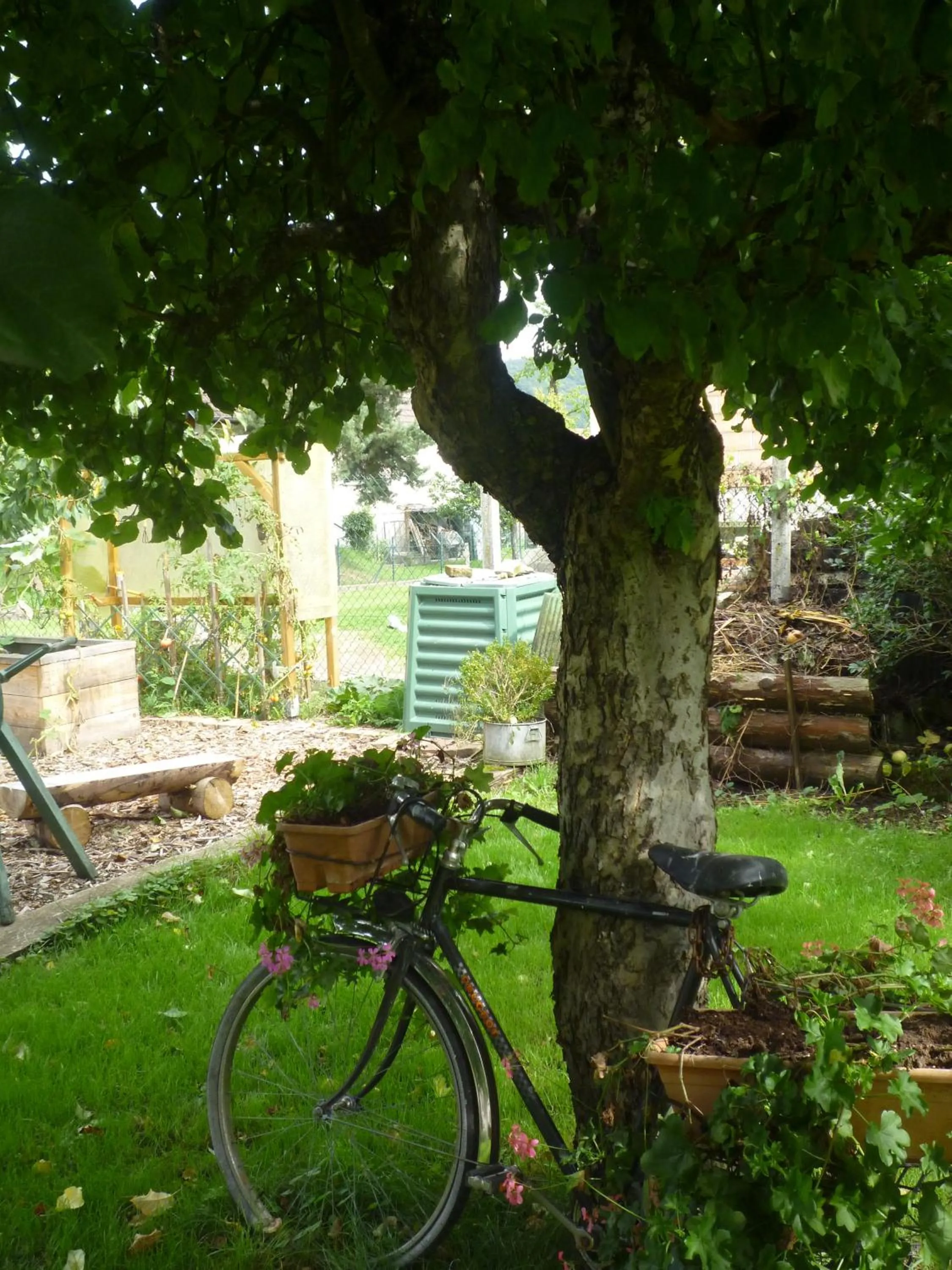 Garden in Gîte La Charmaie