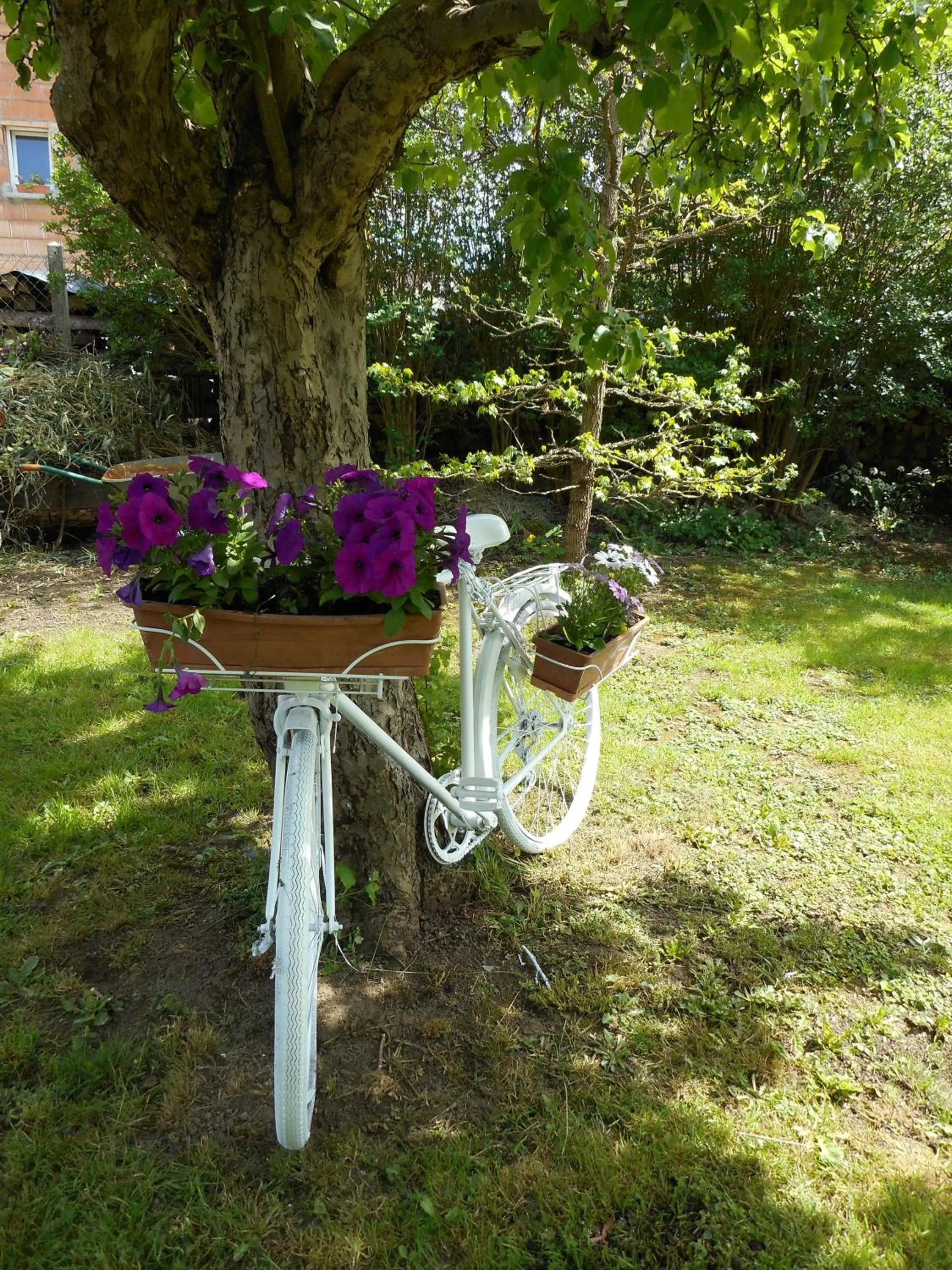 Garden in Gîte La Charmaie