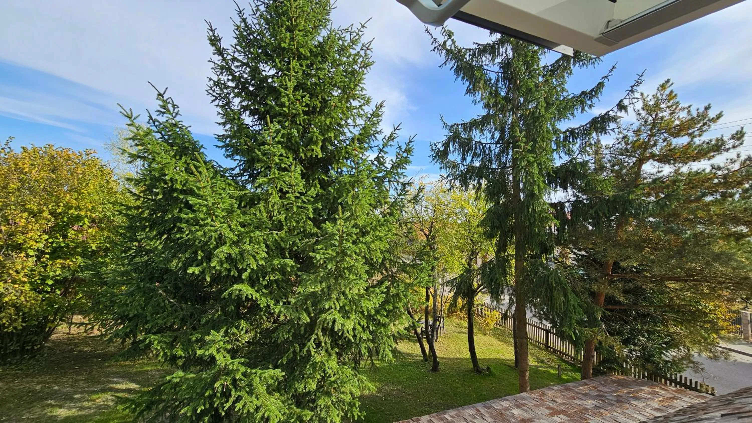 Garden view in Stoczek 1929