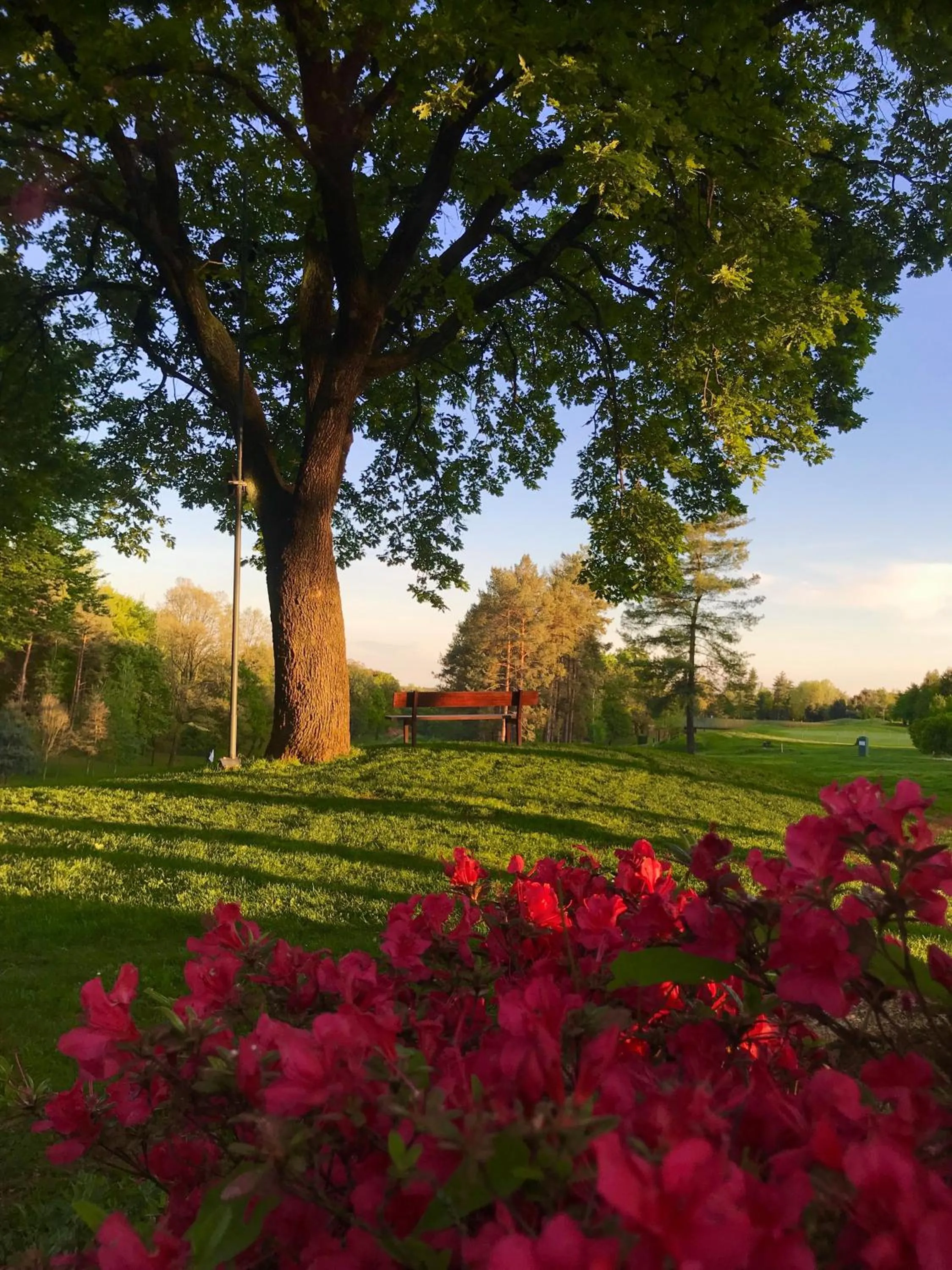 Day in Golf Hotel La Pinetina