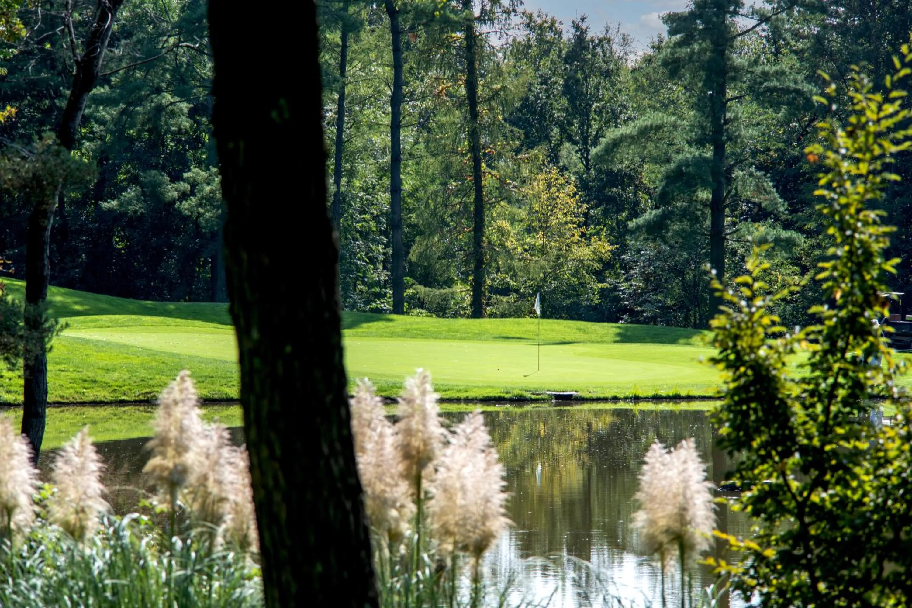 Golfcourse in Golf Hotel La Pinetina