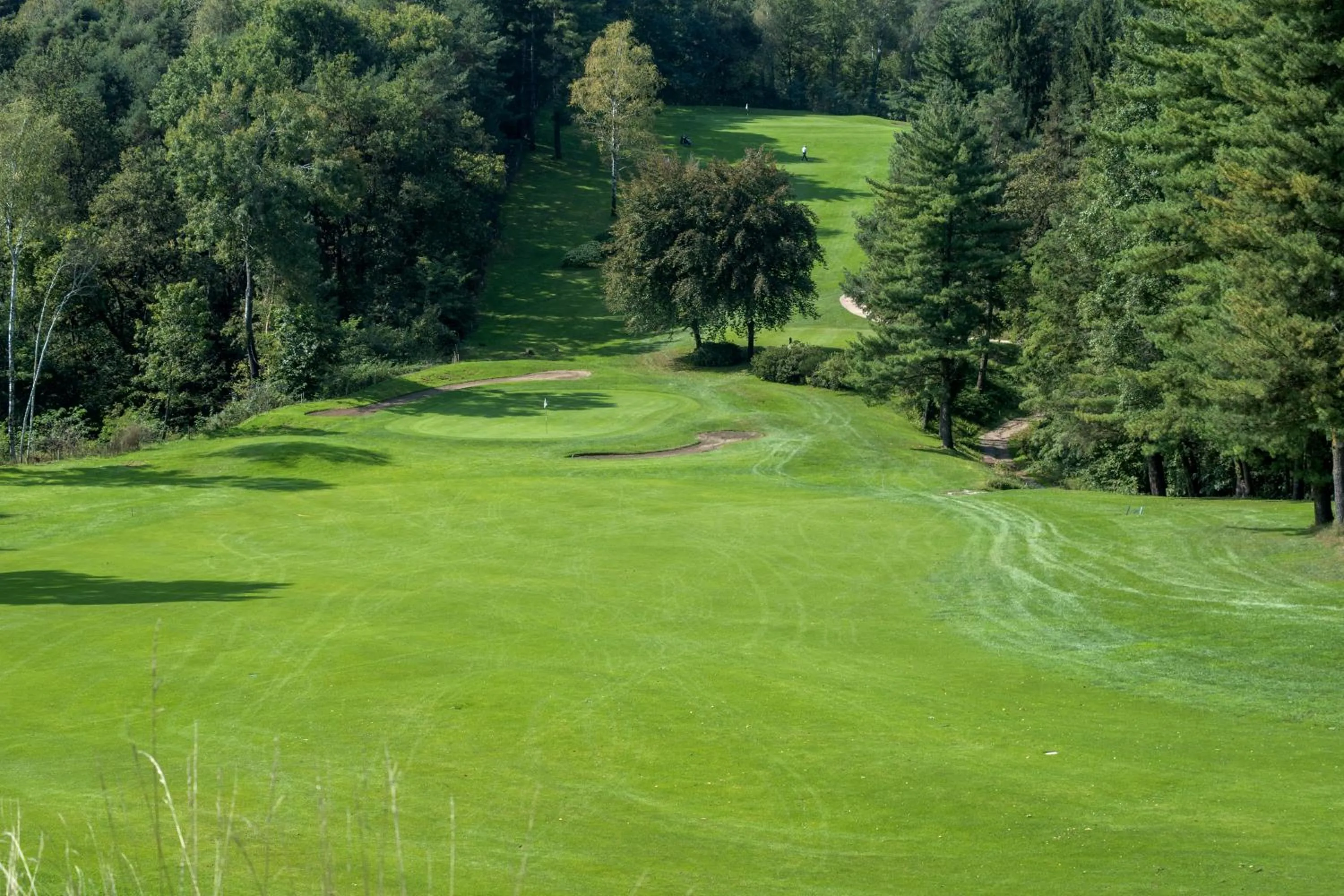 Golfcourse in Golf Hotel La Pinetina