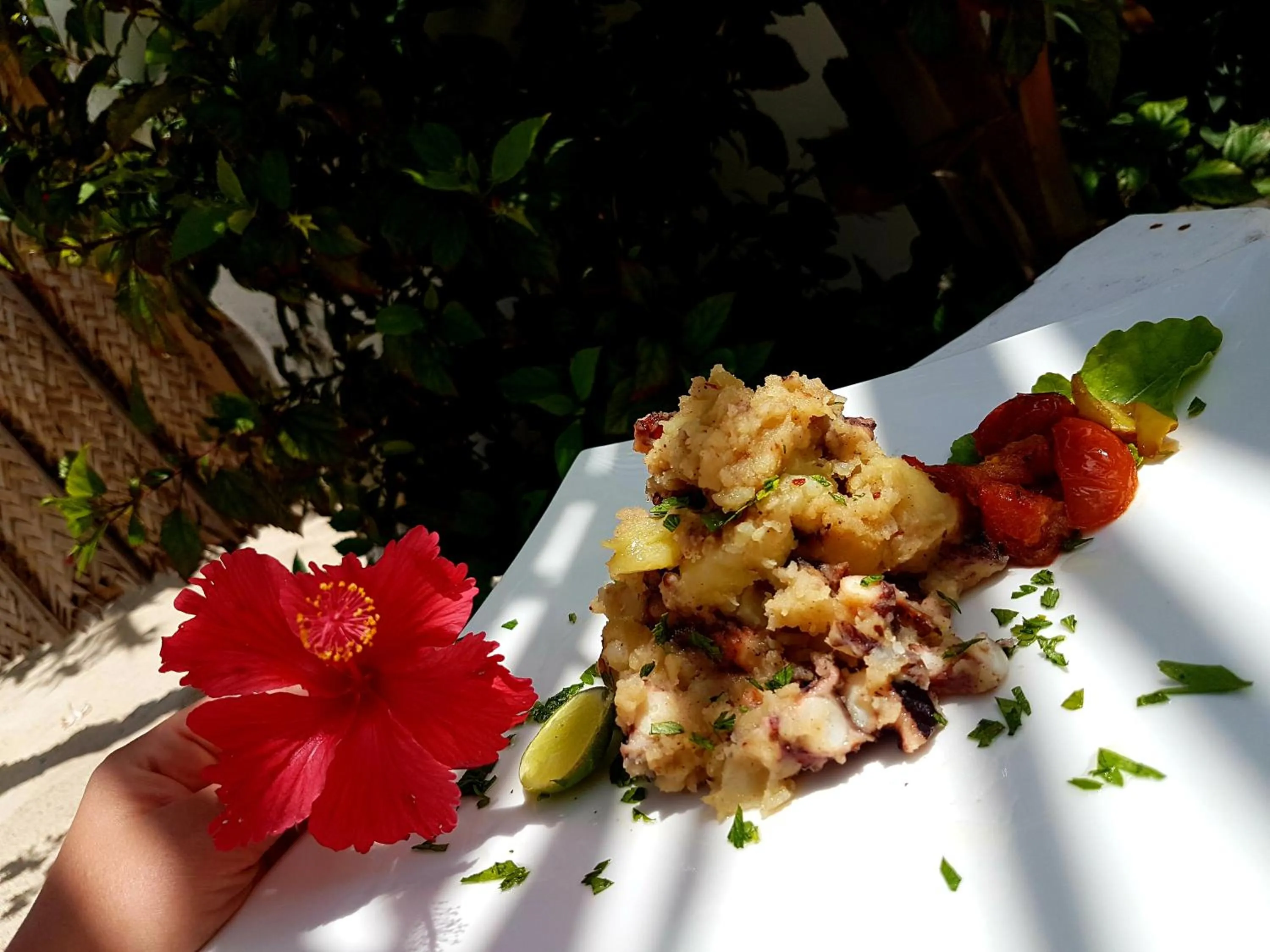Food close-up in Peter Pan Beach Lodge
