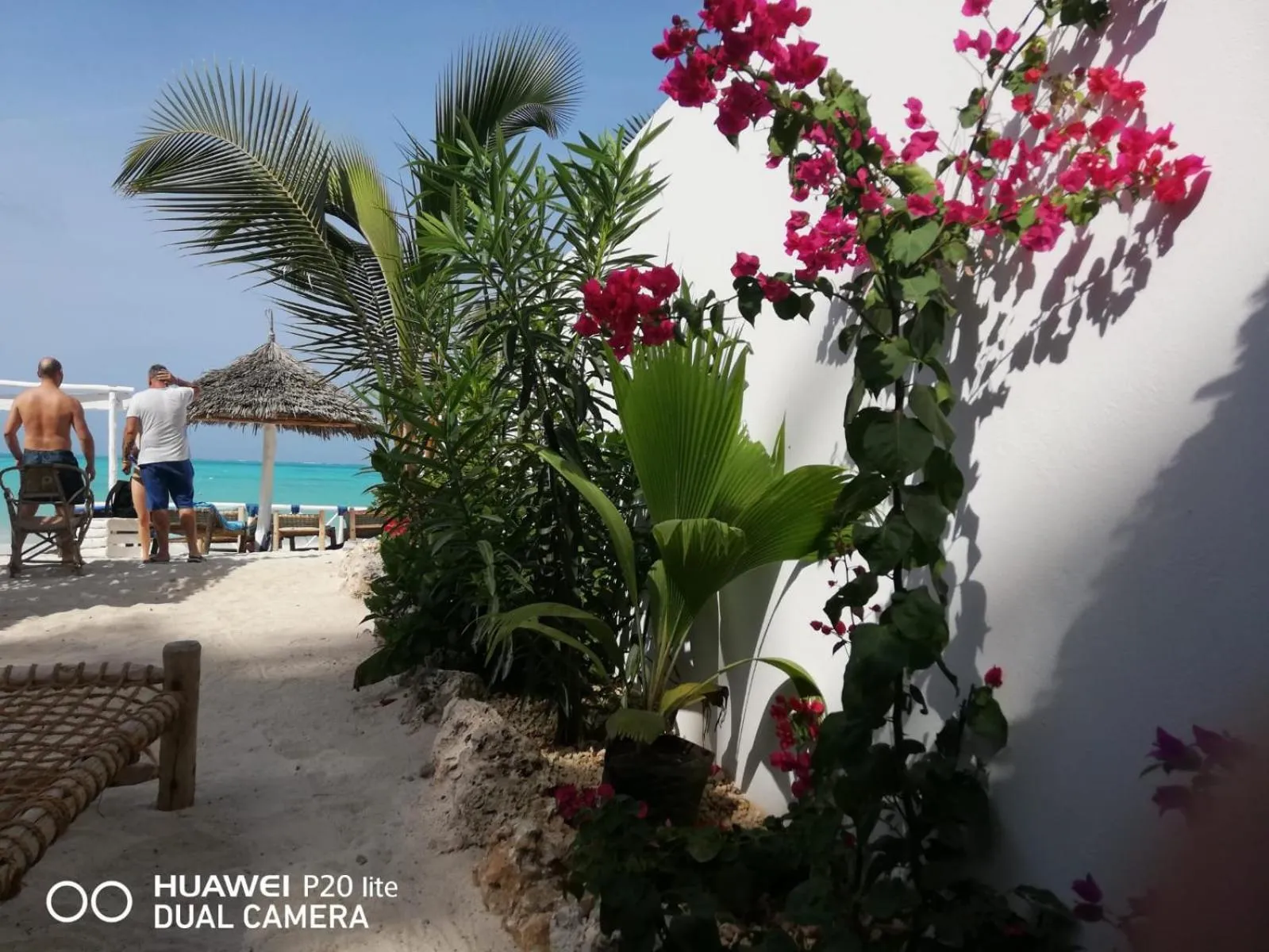 Property building in Peter Pan Beach Lodge