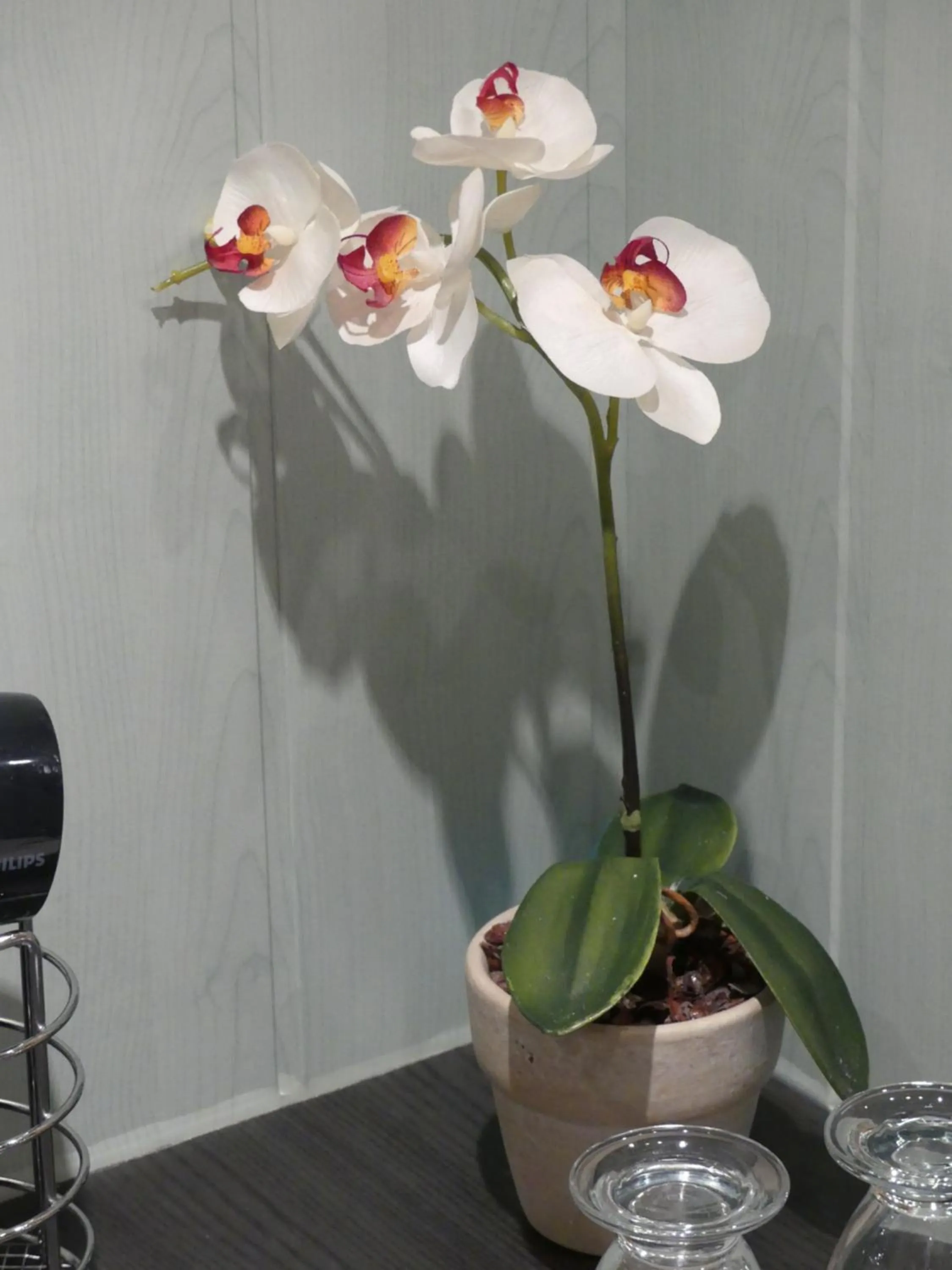 Bathroom in Chambres d'hôtes Les Gragniotes