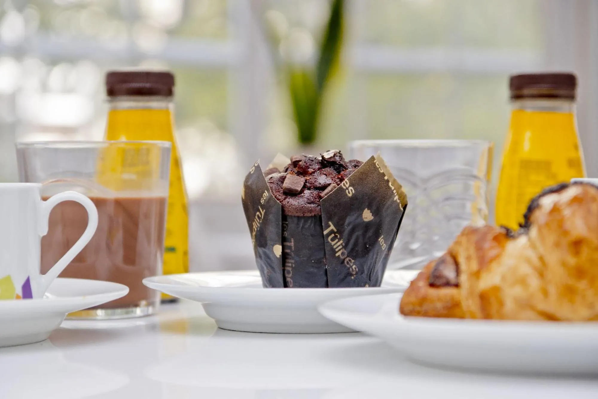 Barcelona City Seven Hostal