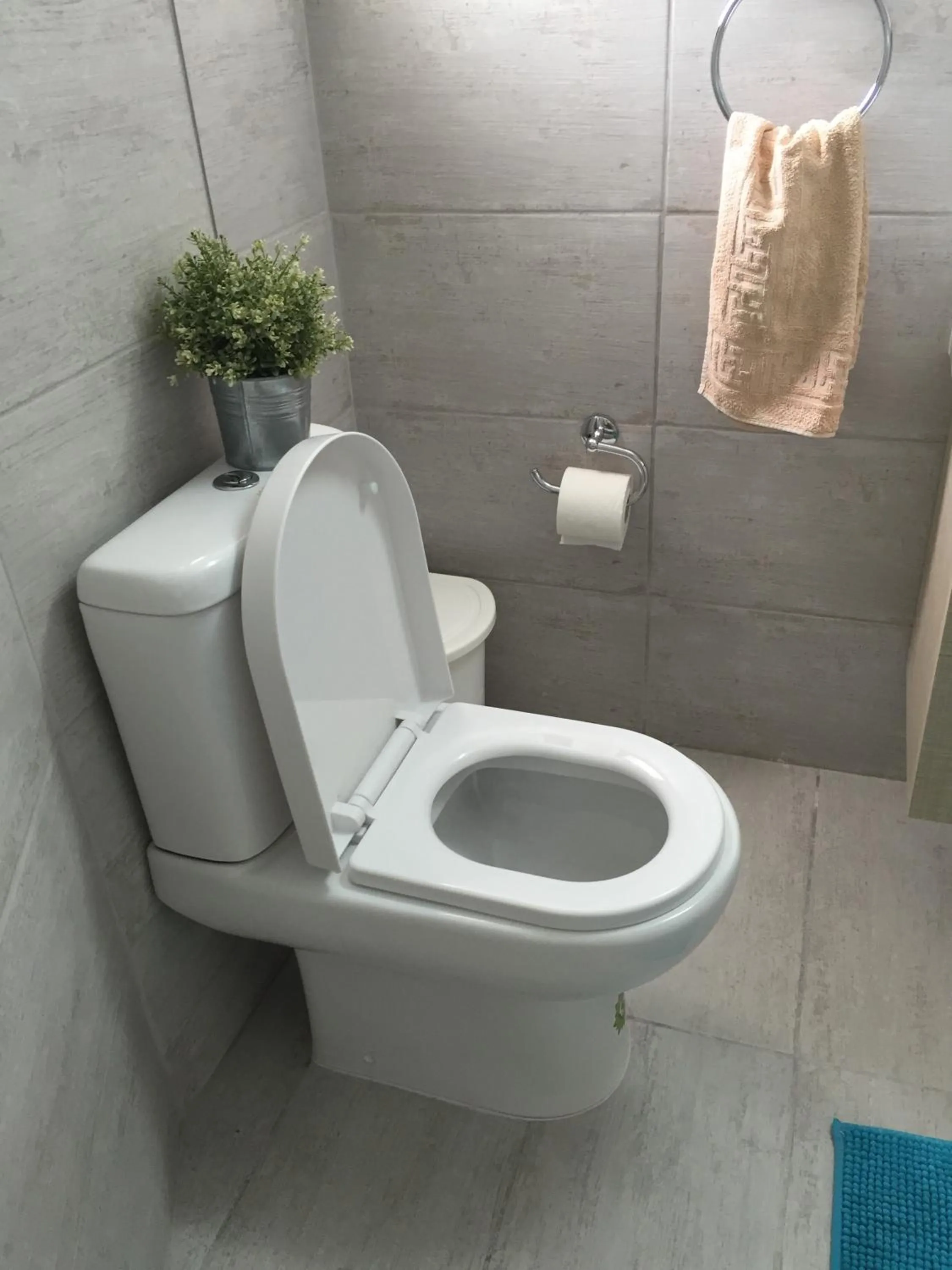 Toilet in Angela Holiday Apartments