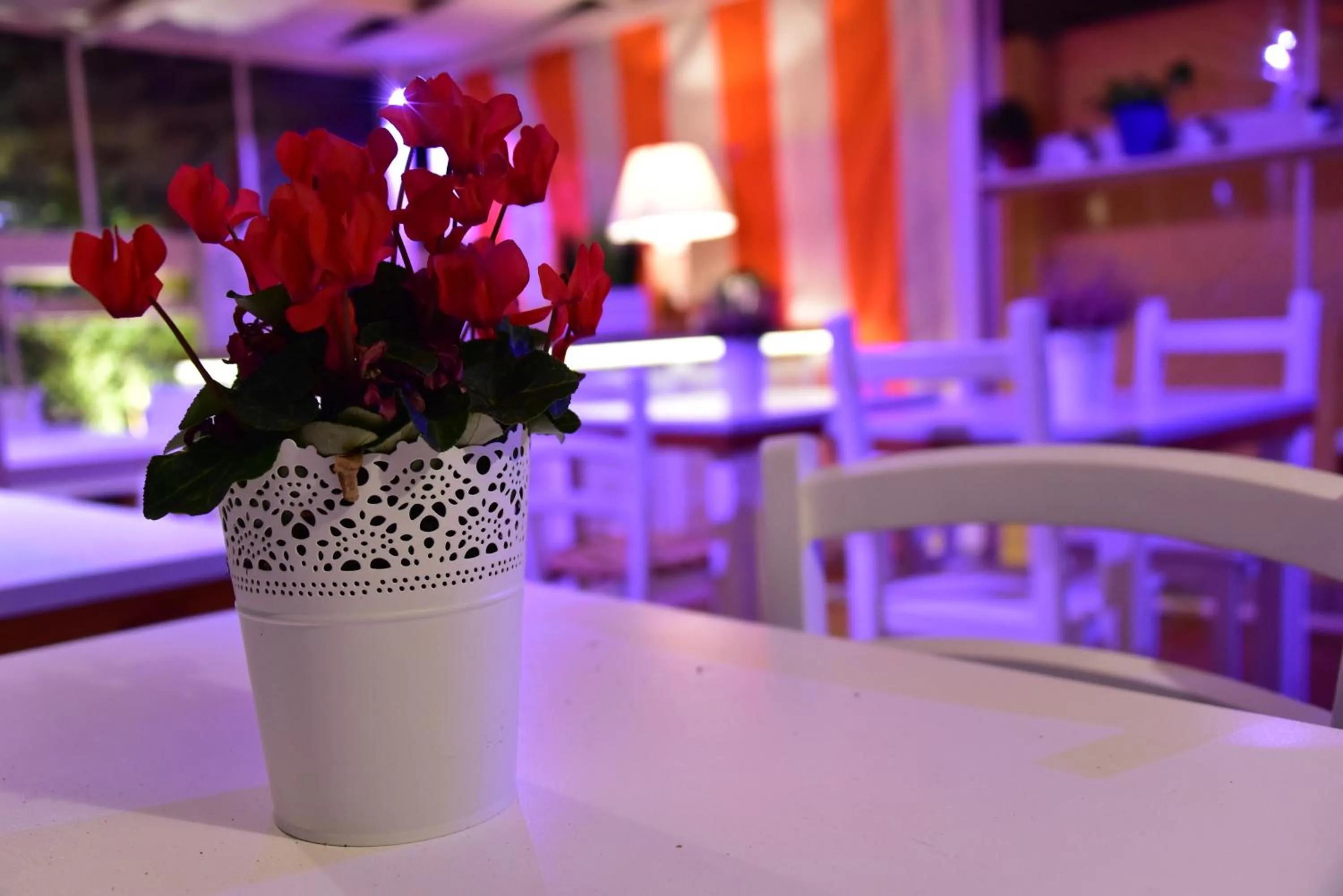 Balcony/Terrace in Casa Martini