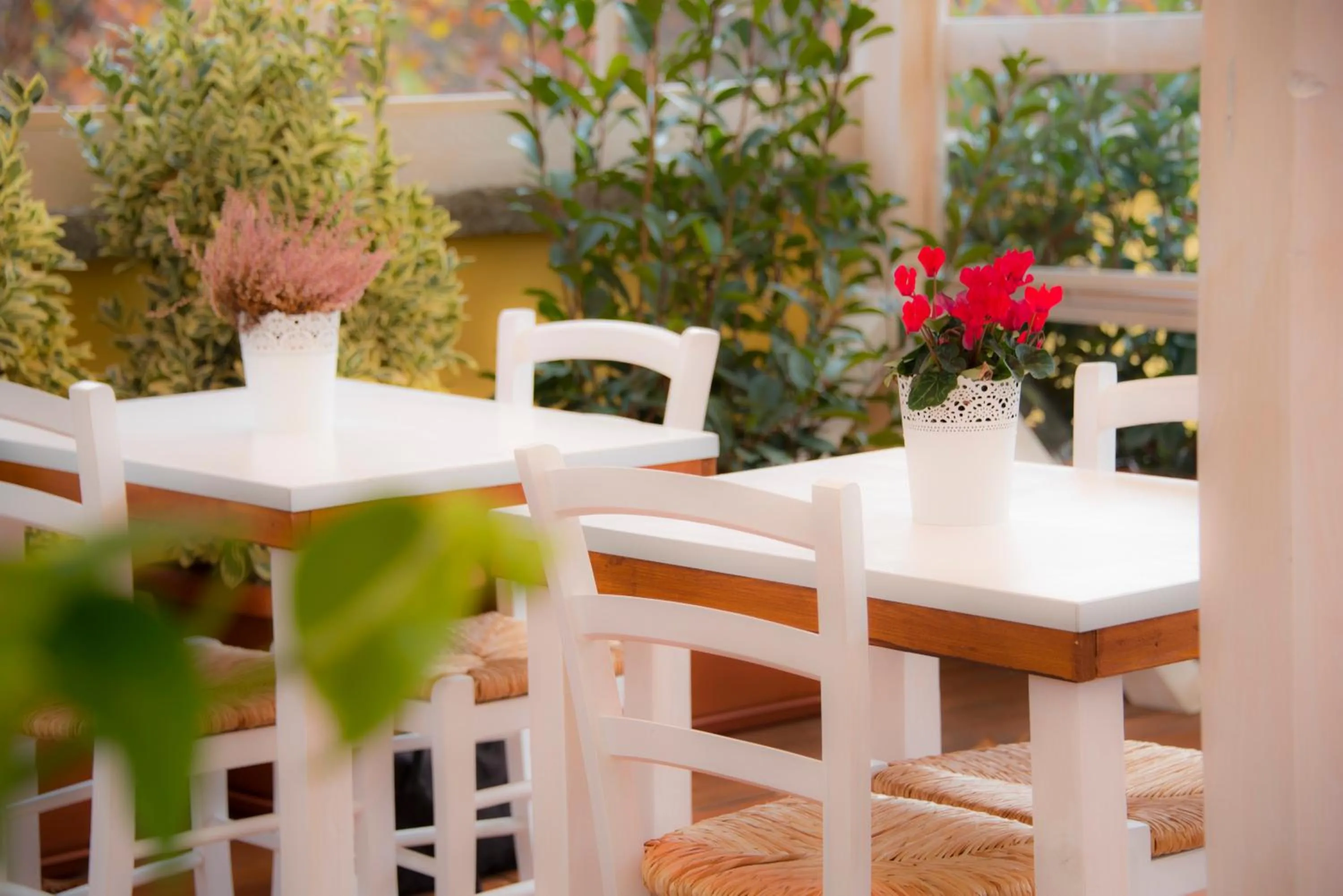 Balcony/Terrace in Casa Martini