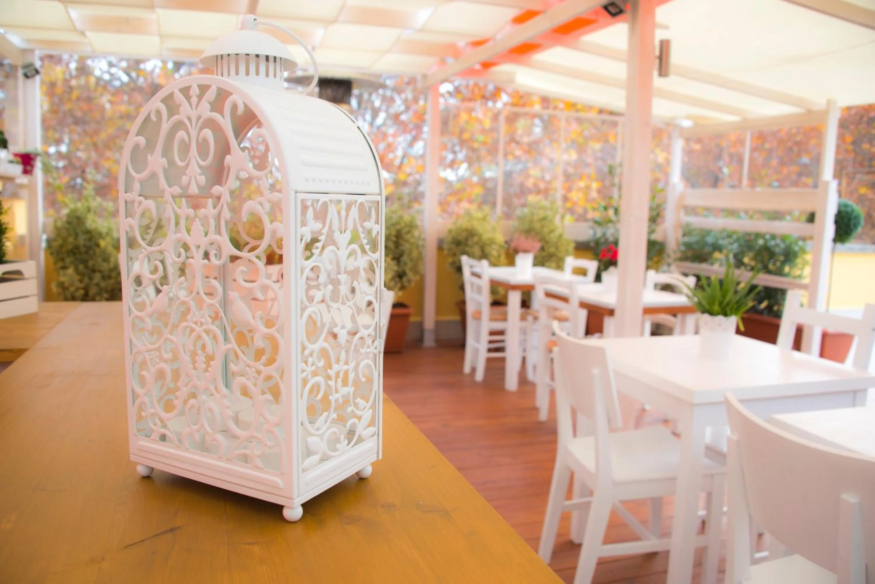 Balcony/Terrace in Casa Martini