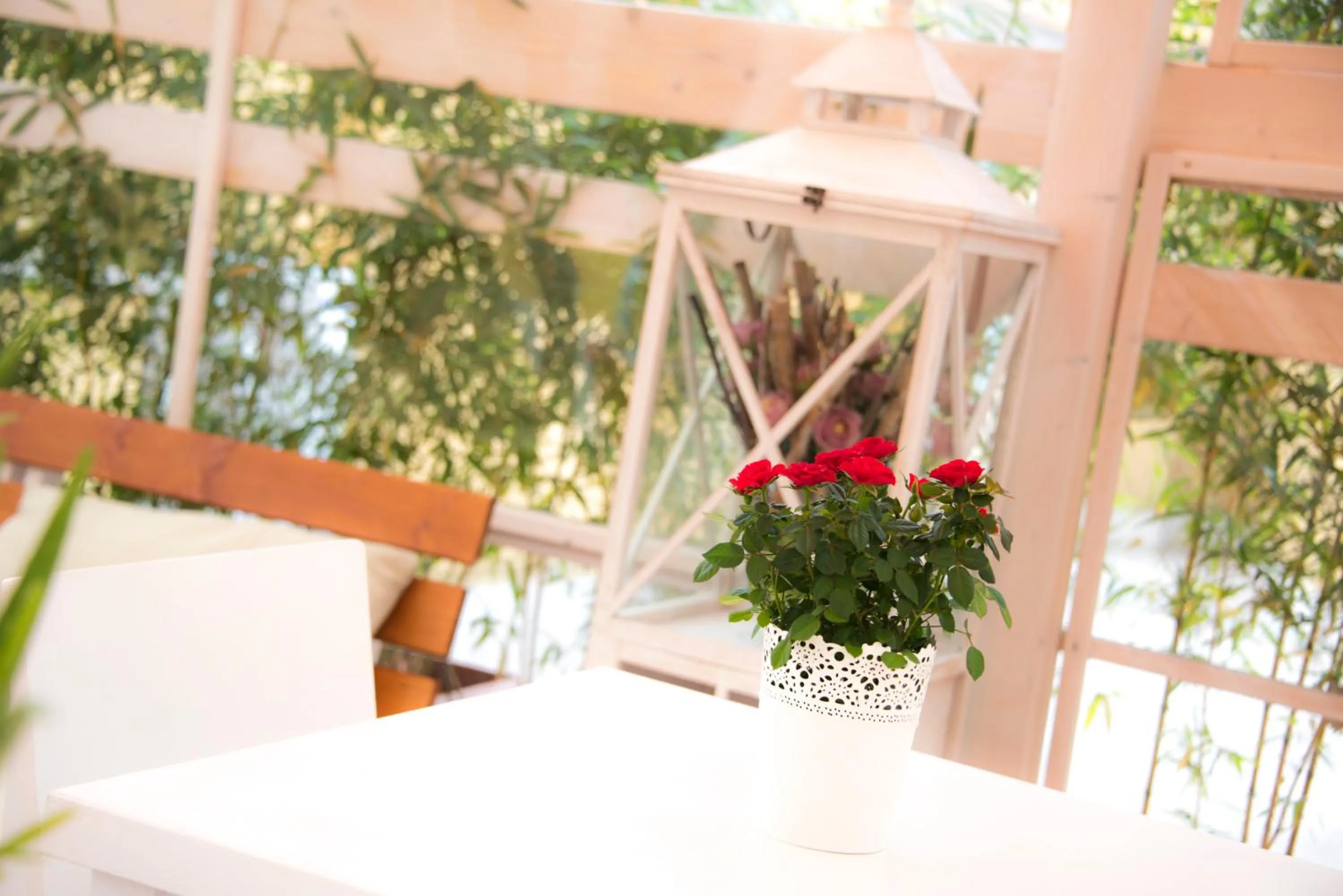 Balcony/Terrace in Casa Martini