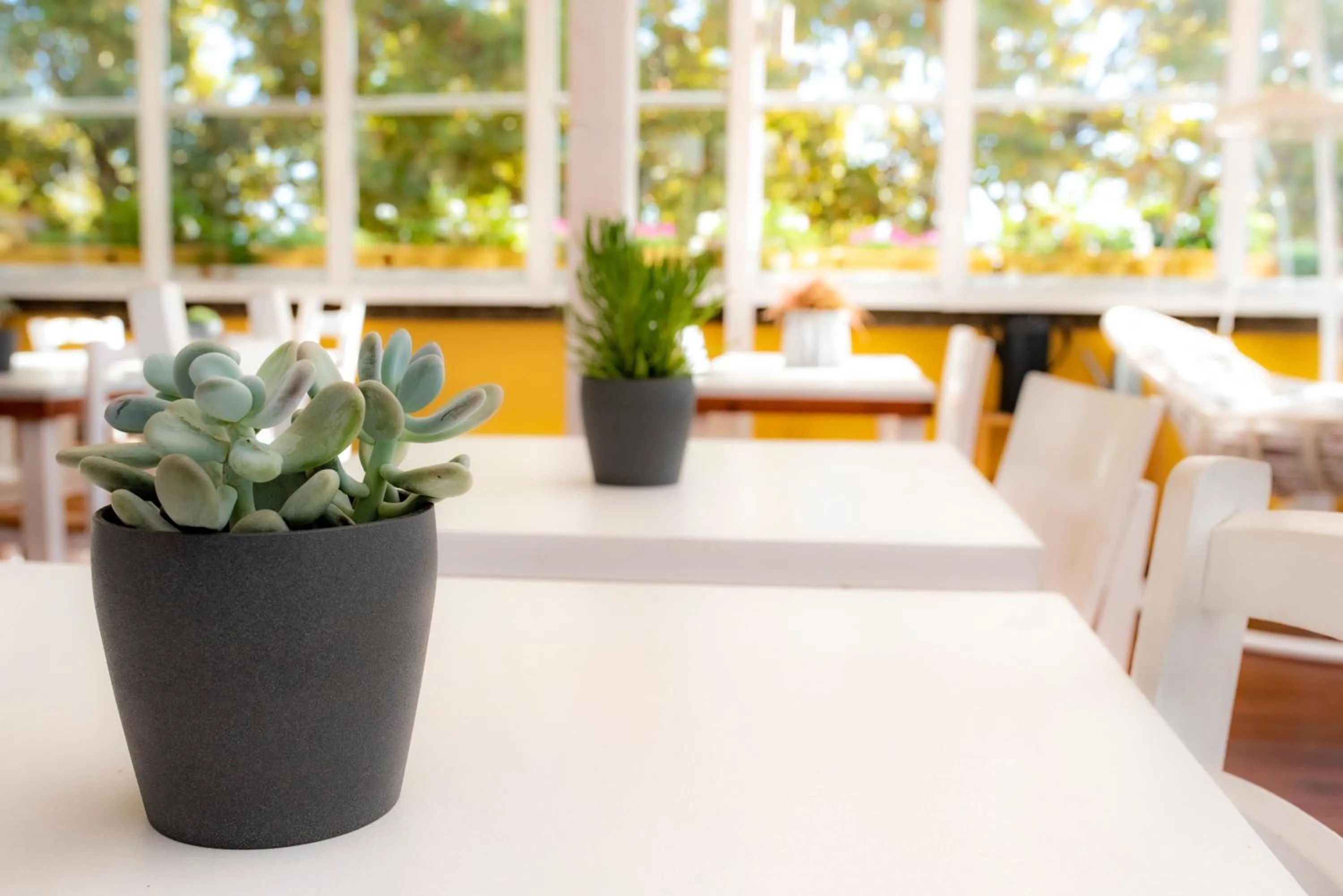 Balcony/Terrace in Casa Martini