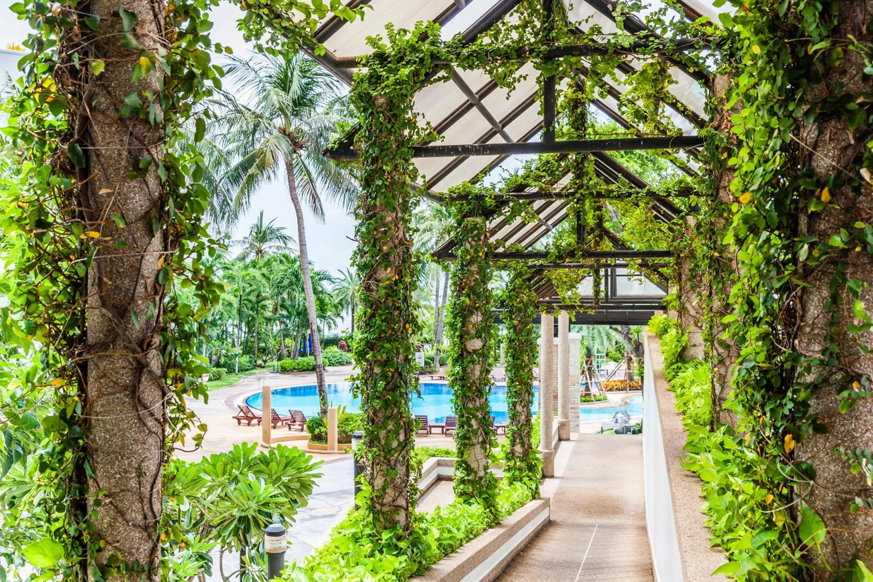 Garden in Cholchan Pattaya Beach Resort - SHA Extra Plus