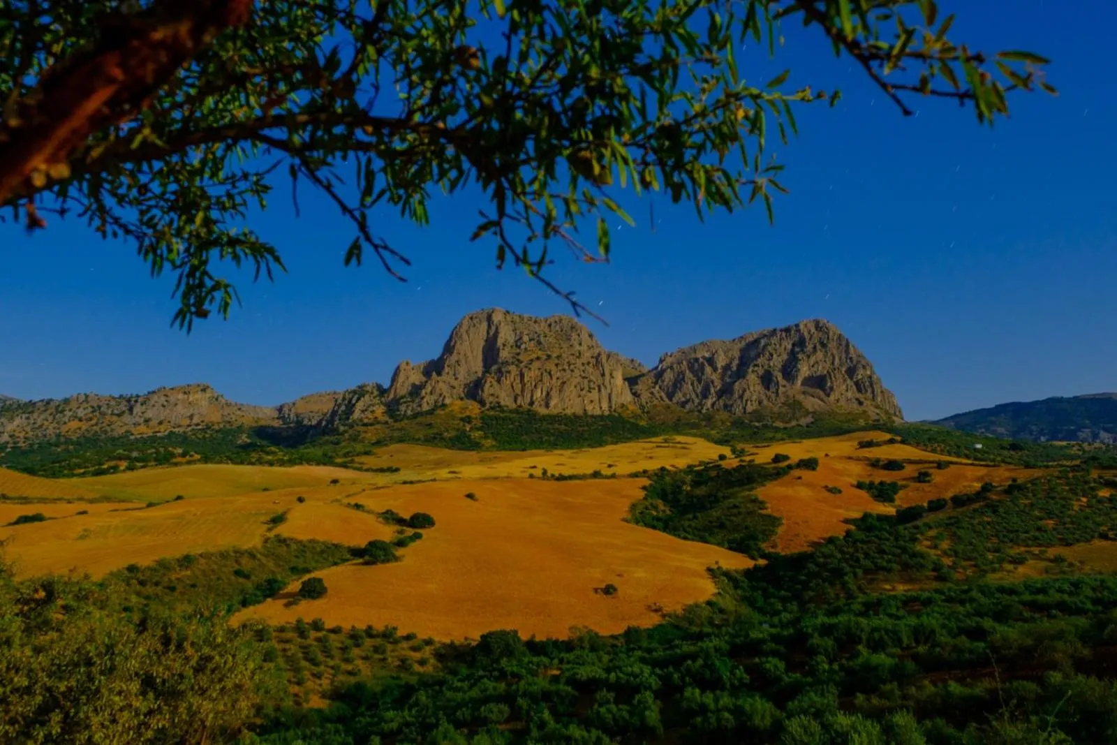 Natural landscape in Finca Gordo