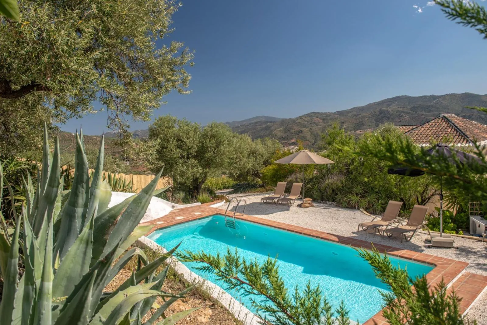 Pool view in Finca Gordo