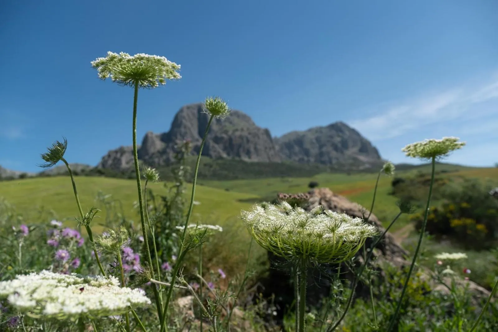 Hiking in Finca Gordo