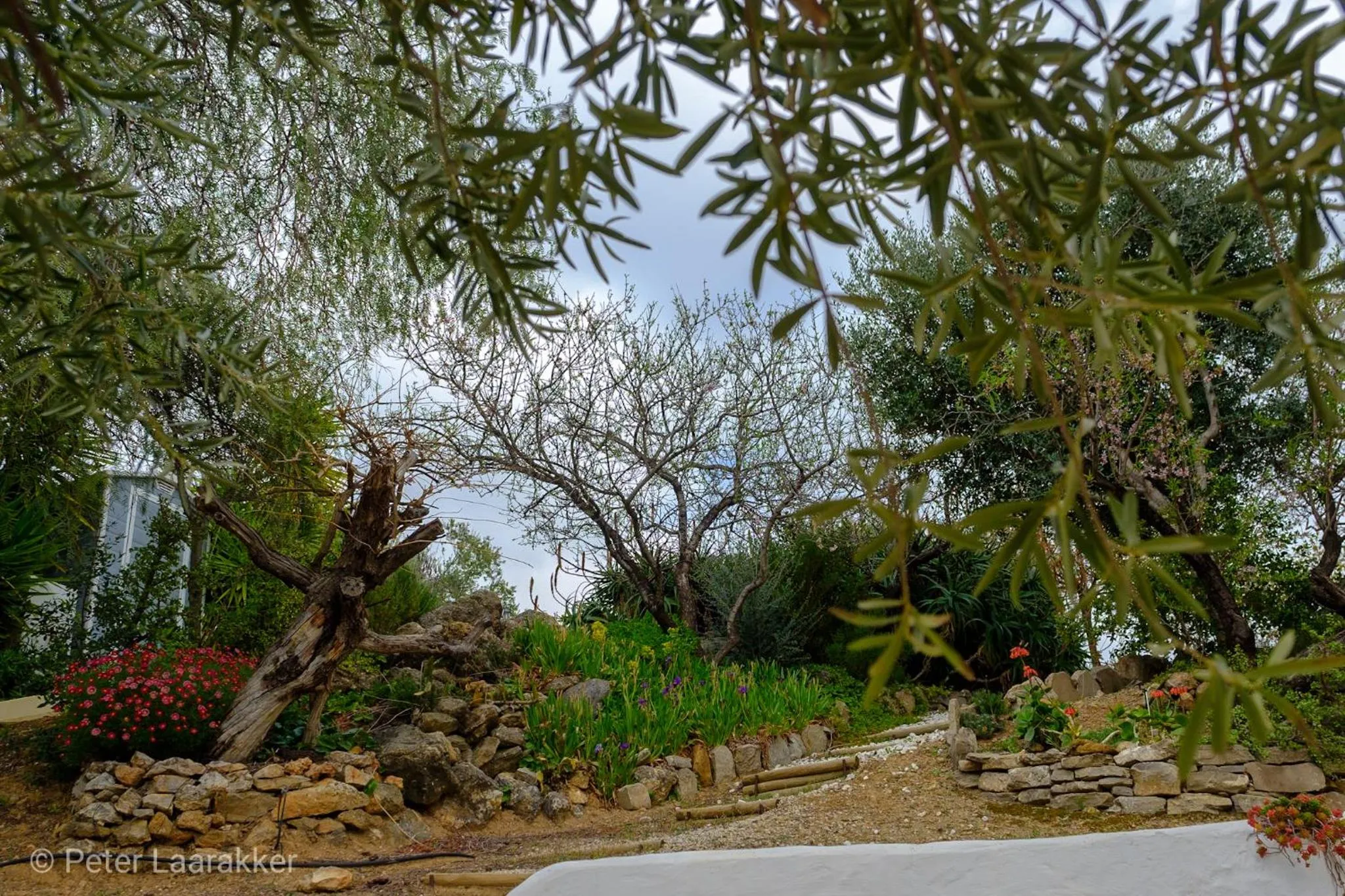 Natural landscape in Finca Gordo