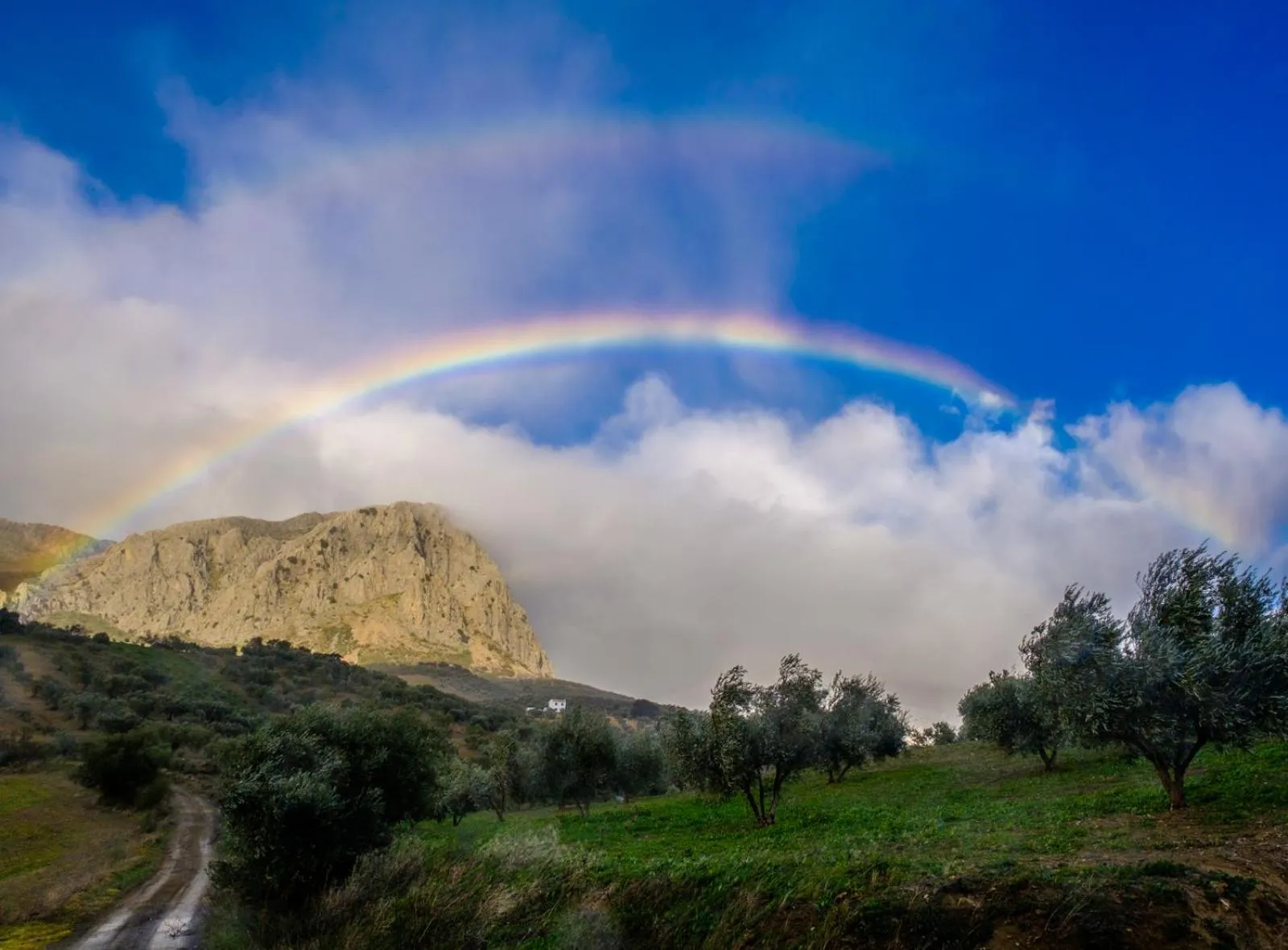 Natural landscape in Finca Gordo