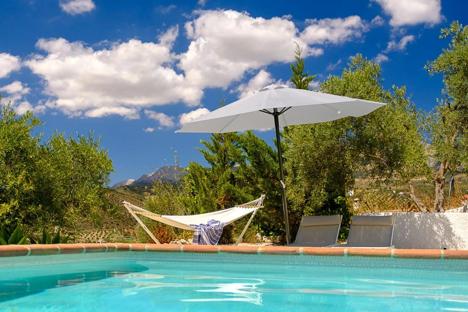 Swimming pool in Finca Gordo