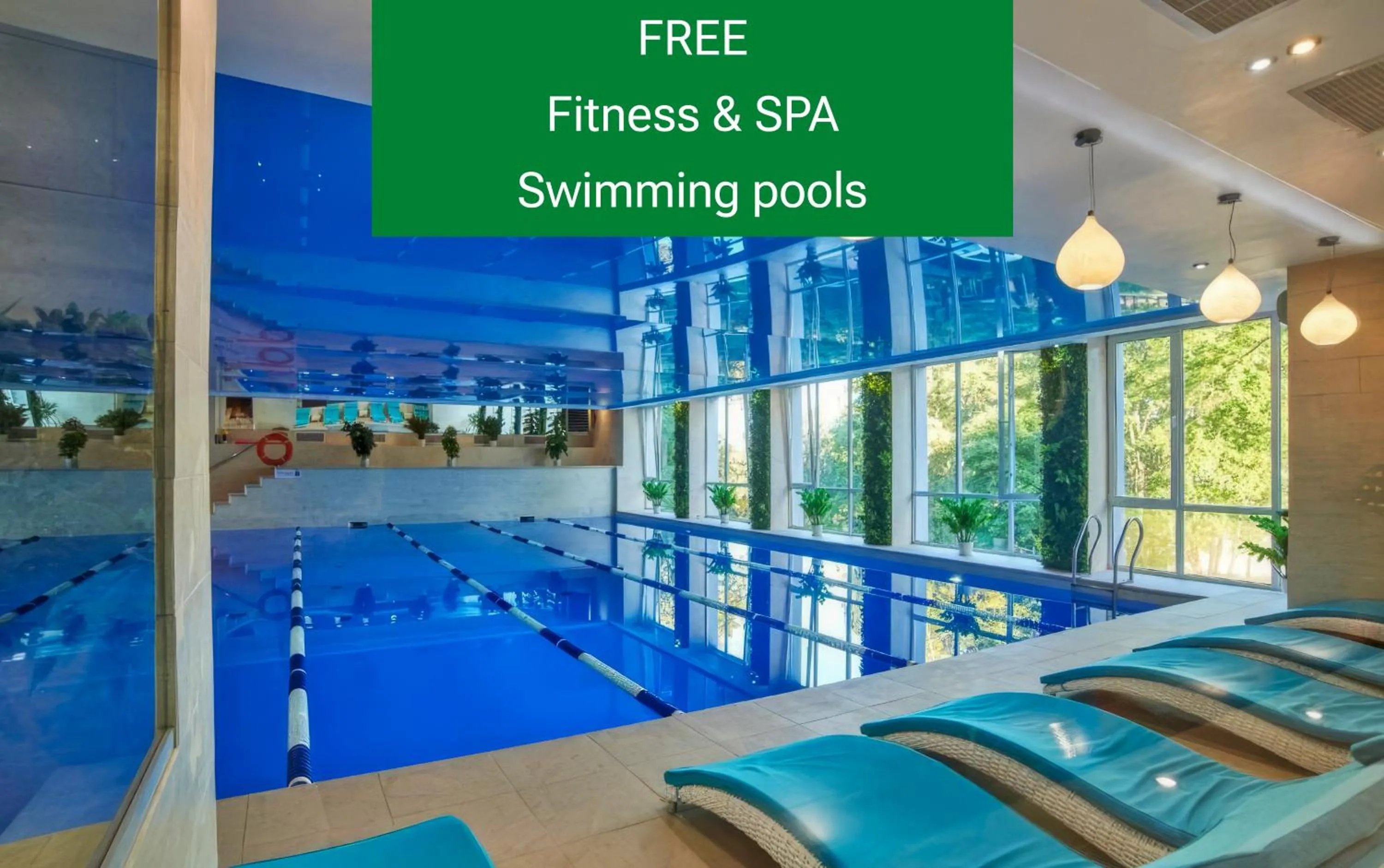 Swimming pool in Hotel & Spa NEMO with dolphins