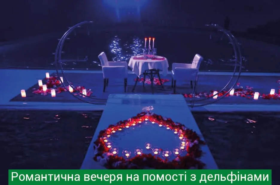 Night in Hotel & Spa NEMO with dolphins