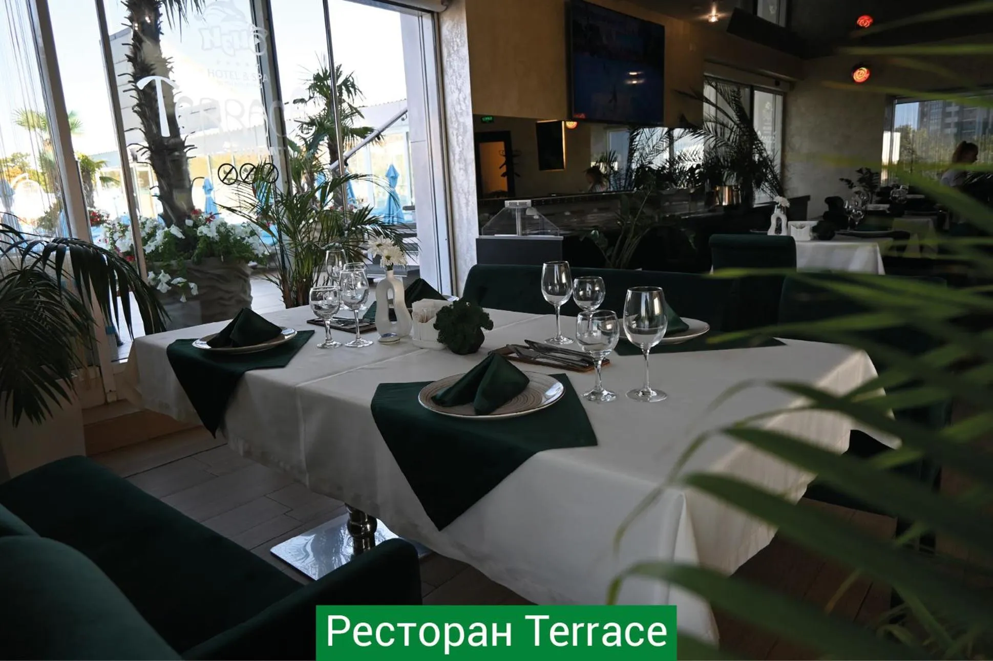 Hotel & Spa NEMO with dolphins