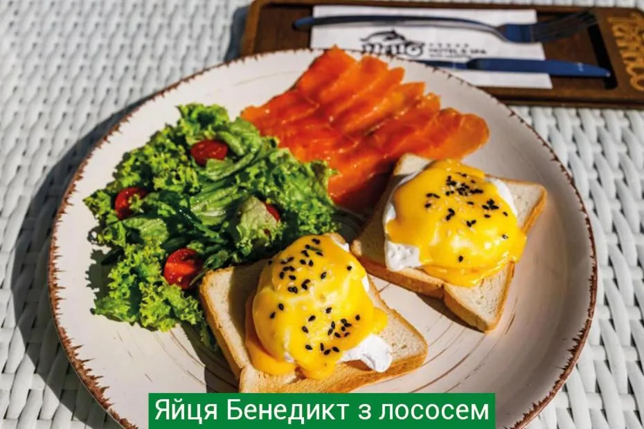 Restaurant/places to eat in Hotel & Spa NEMO with dolphins