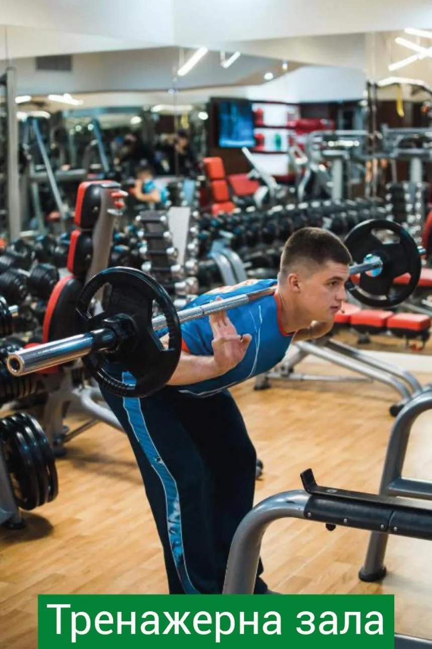 Hotel & Spa NEMO with dolphins