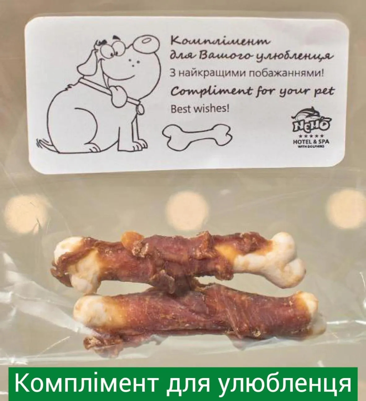 Hotel & Spa NEMO with dolphins