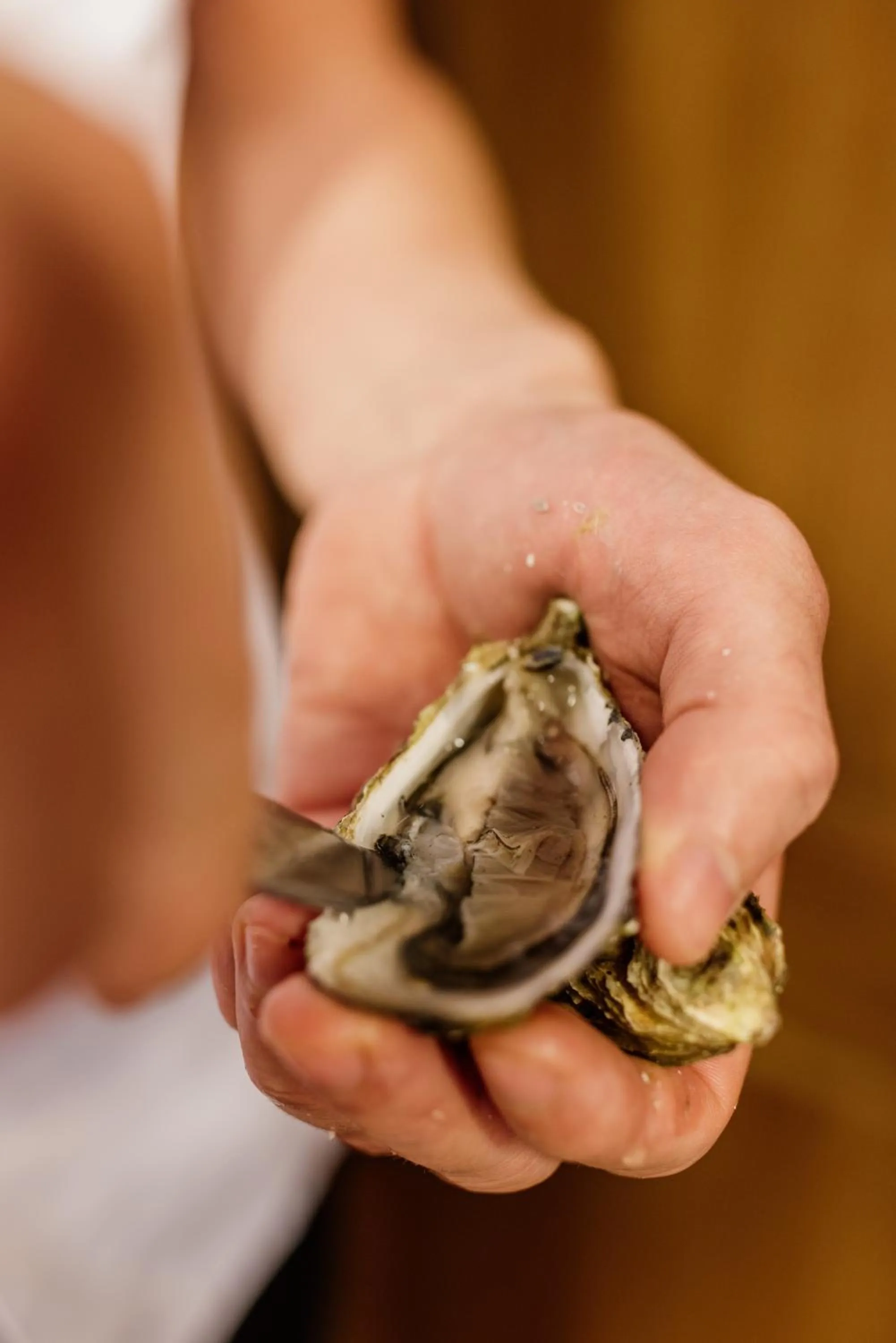 Food close-up in Meneghetti Wine Hotel and Winery - Relais & Chateaux