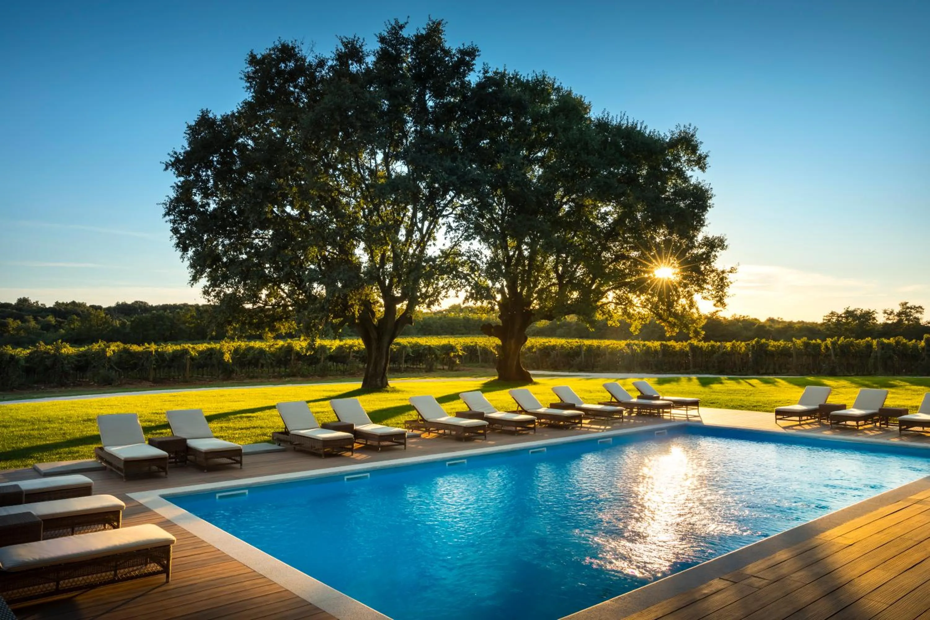 Autumn in Meneghetti Wine Hotel and Winery - Relais & Chateaux