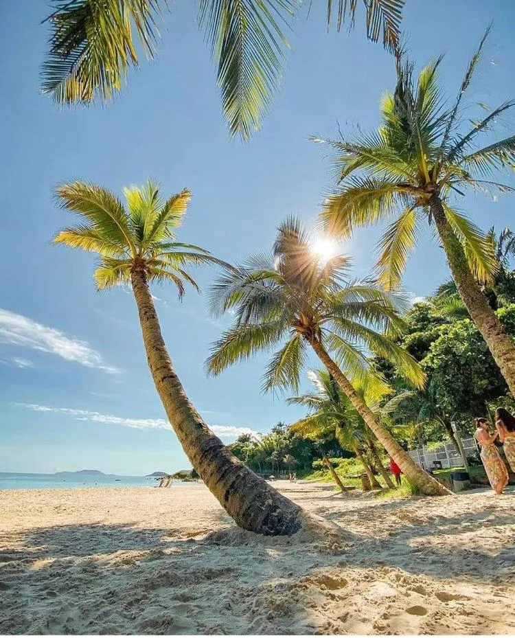 Hotel Monteiro Canasvieiras