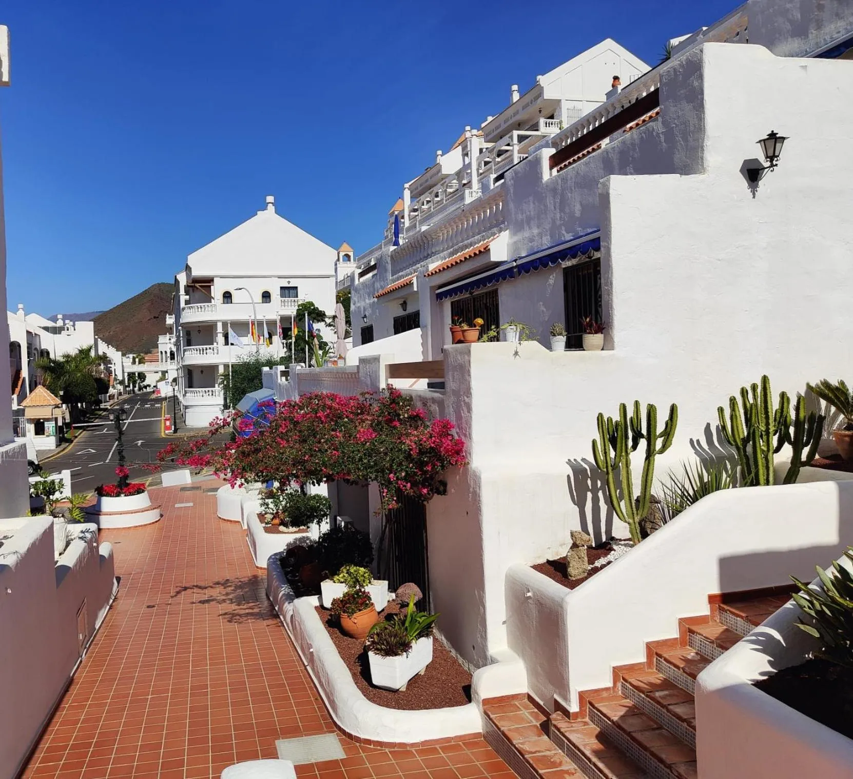 Property building in Port Royale