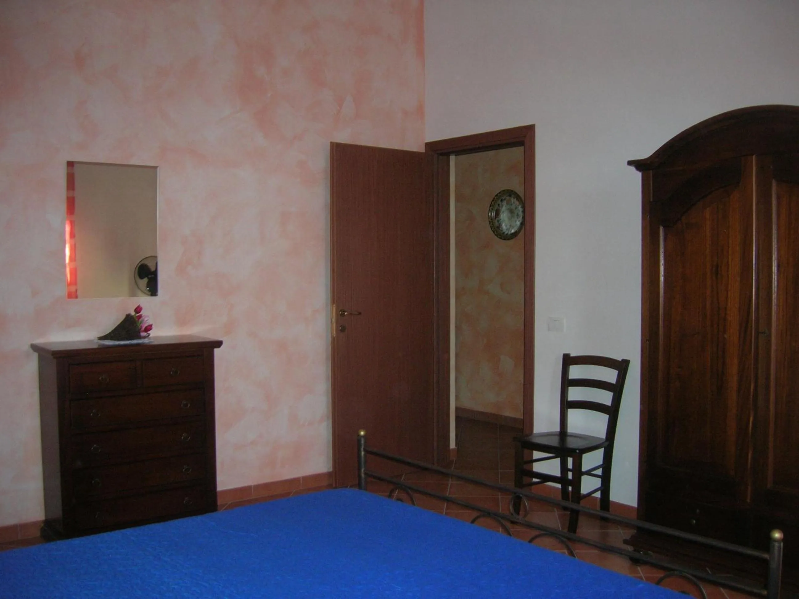 House surrounded by olive trees