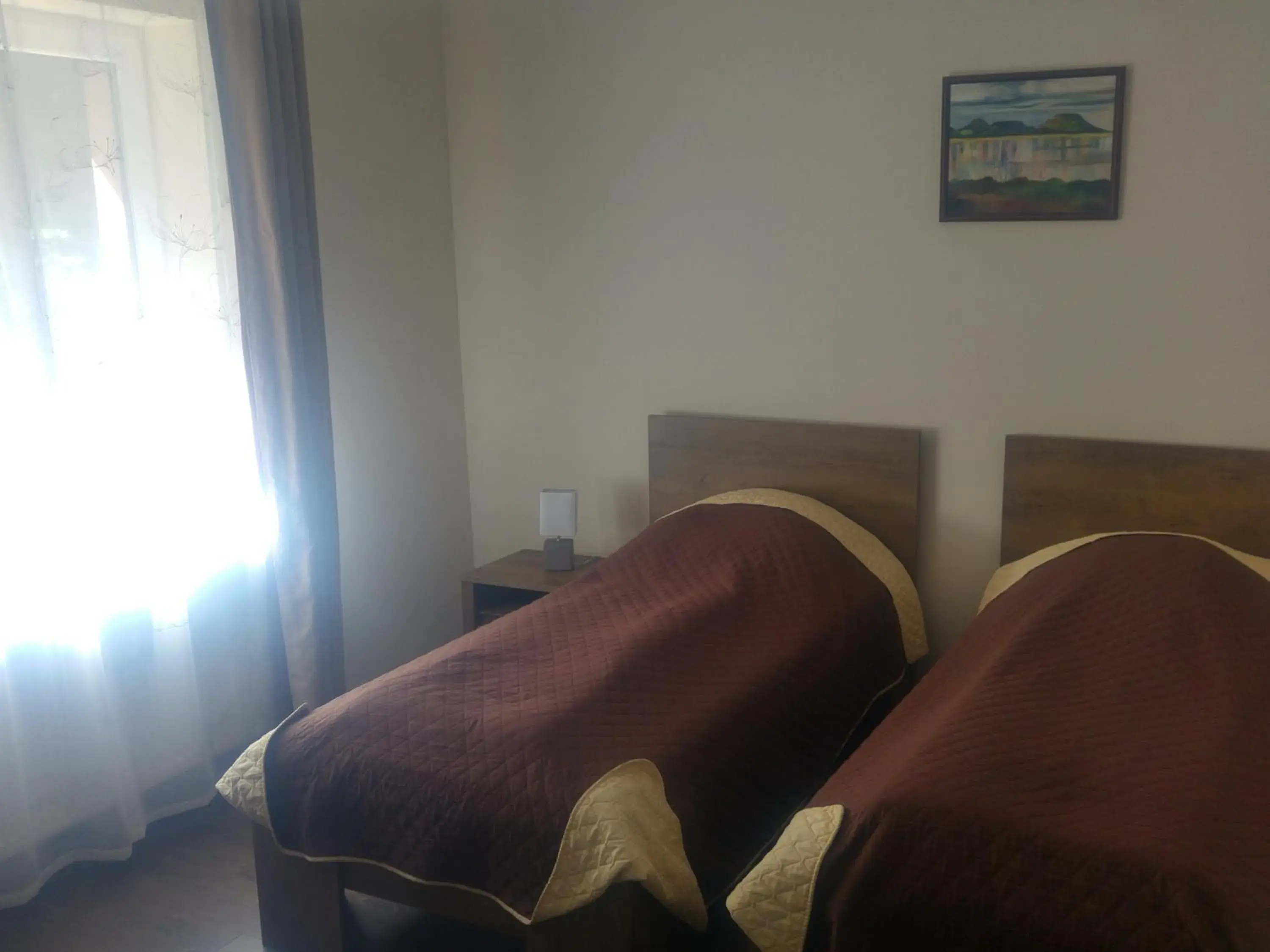 Standard Twin Room in Hotel Hunor Standard Twin Room in Hotel Hunor