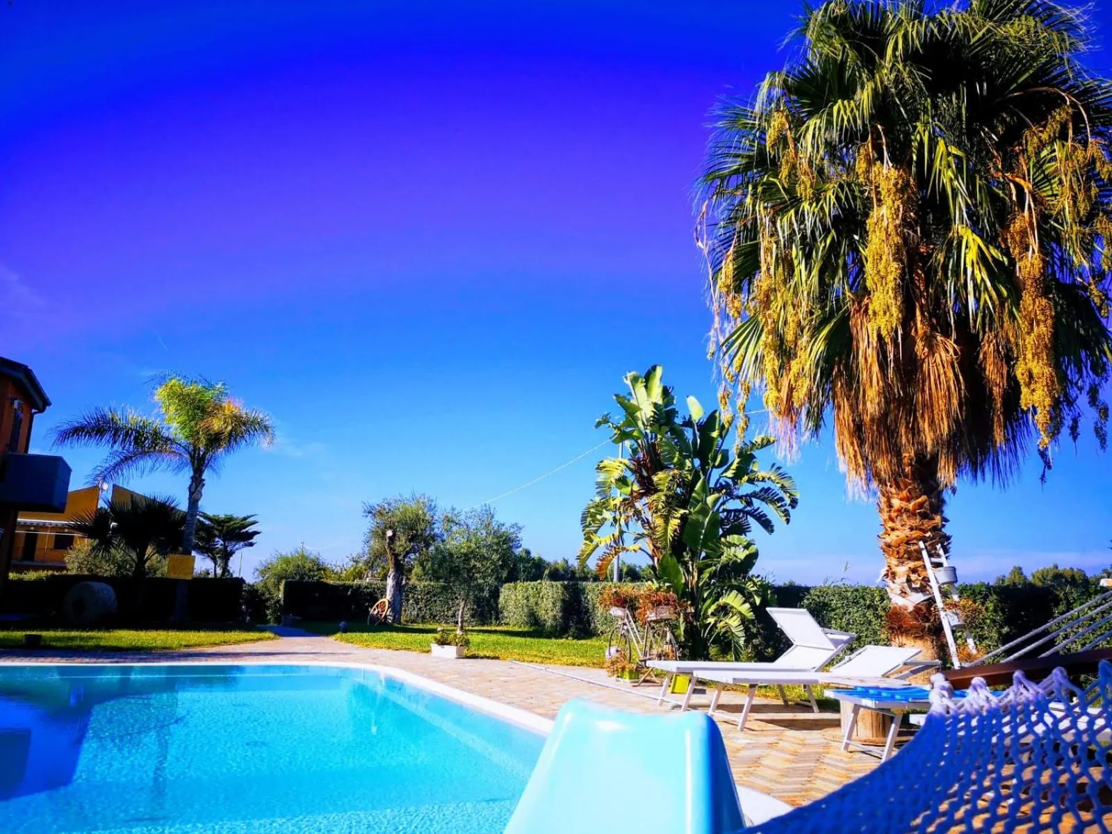 Garden view in Beb oasi marina