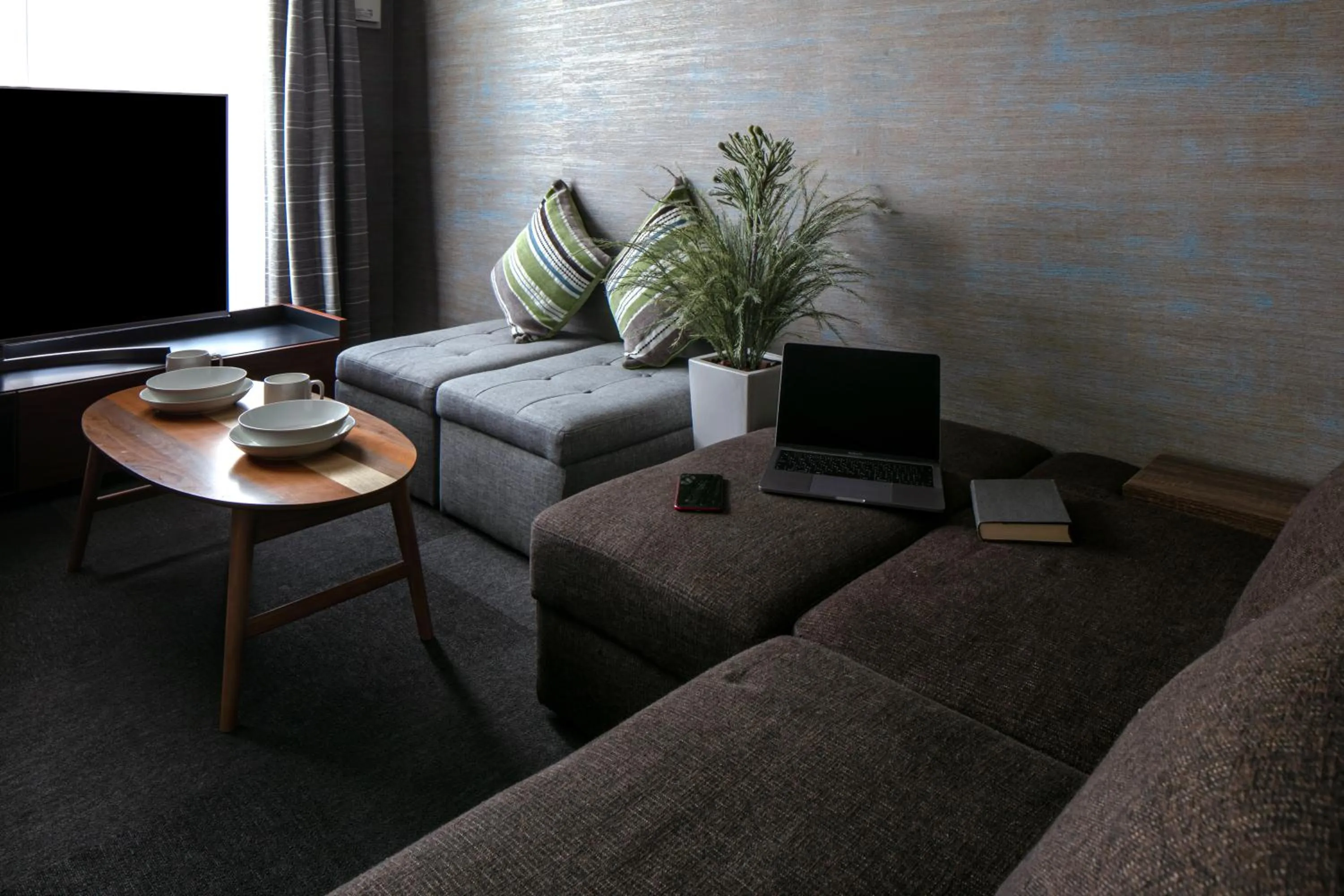 TV and multimedia in Randor Residence Kyoto Classic