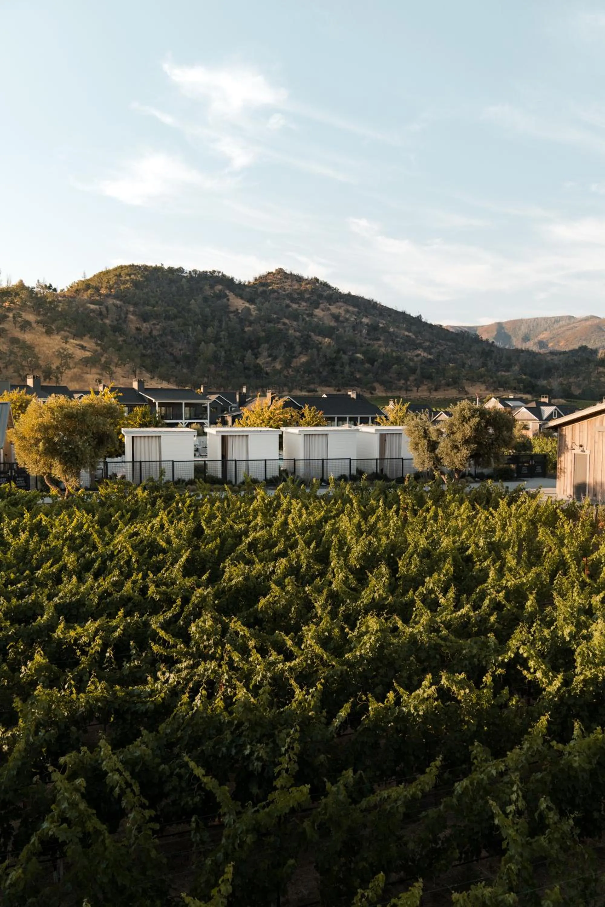 Garden in Four Seasons Resort Napa Valley