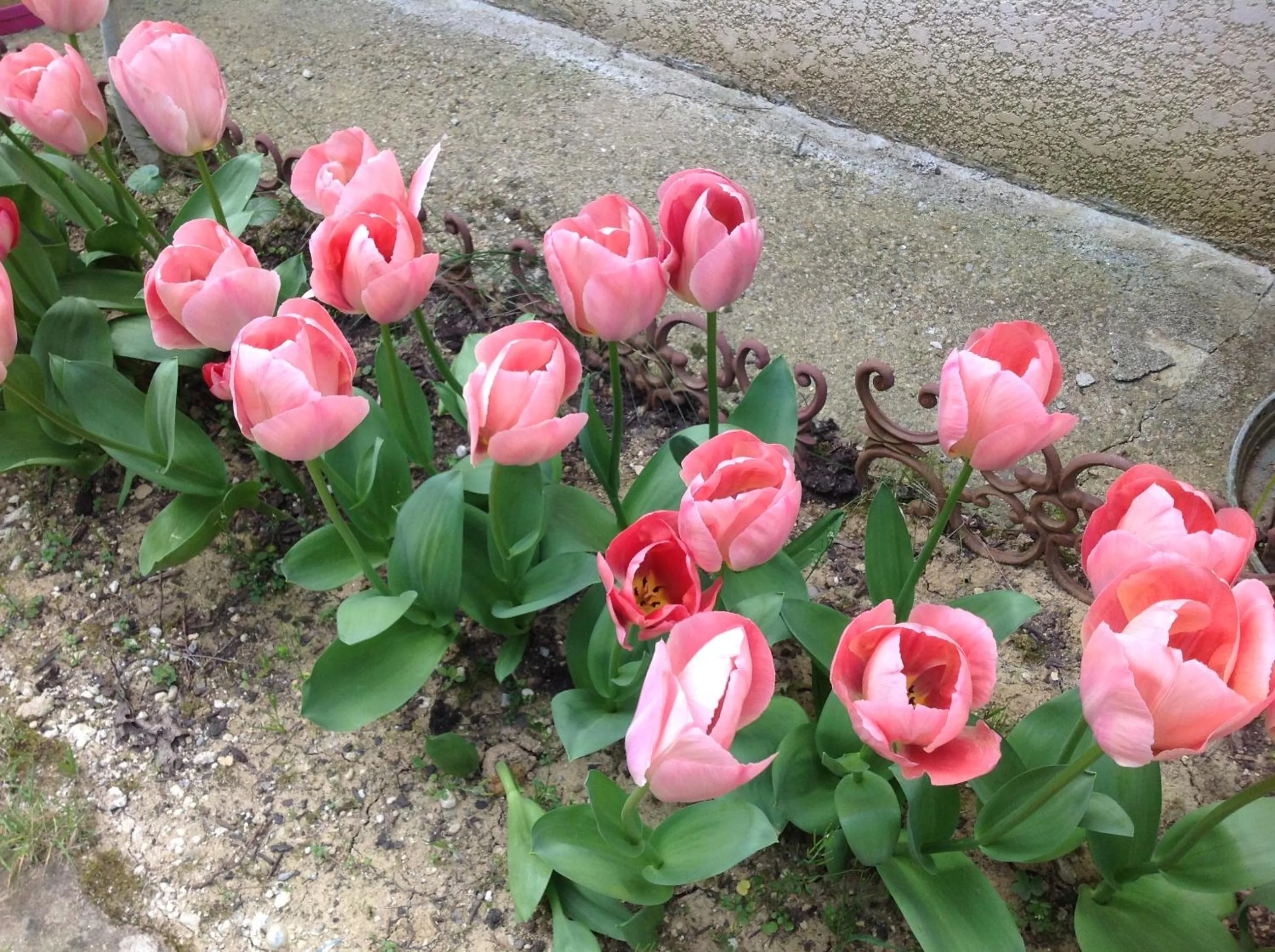 Decorative detail in Bed & Breakfast Le Beauséjour