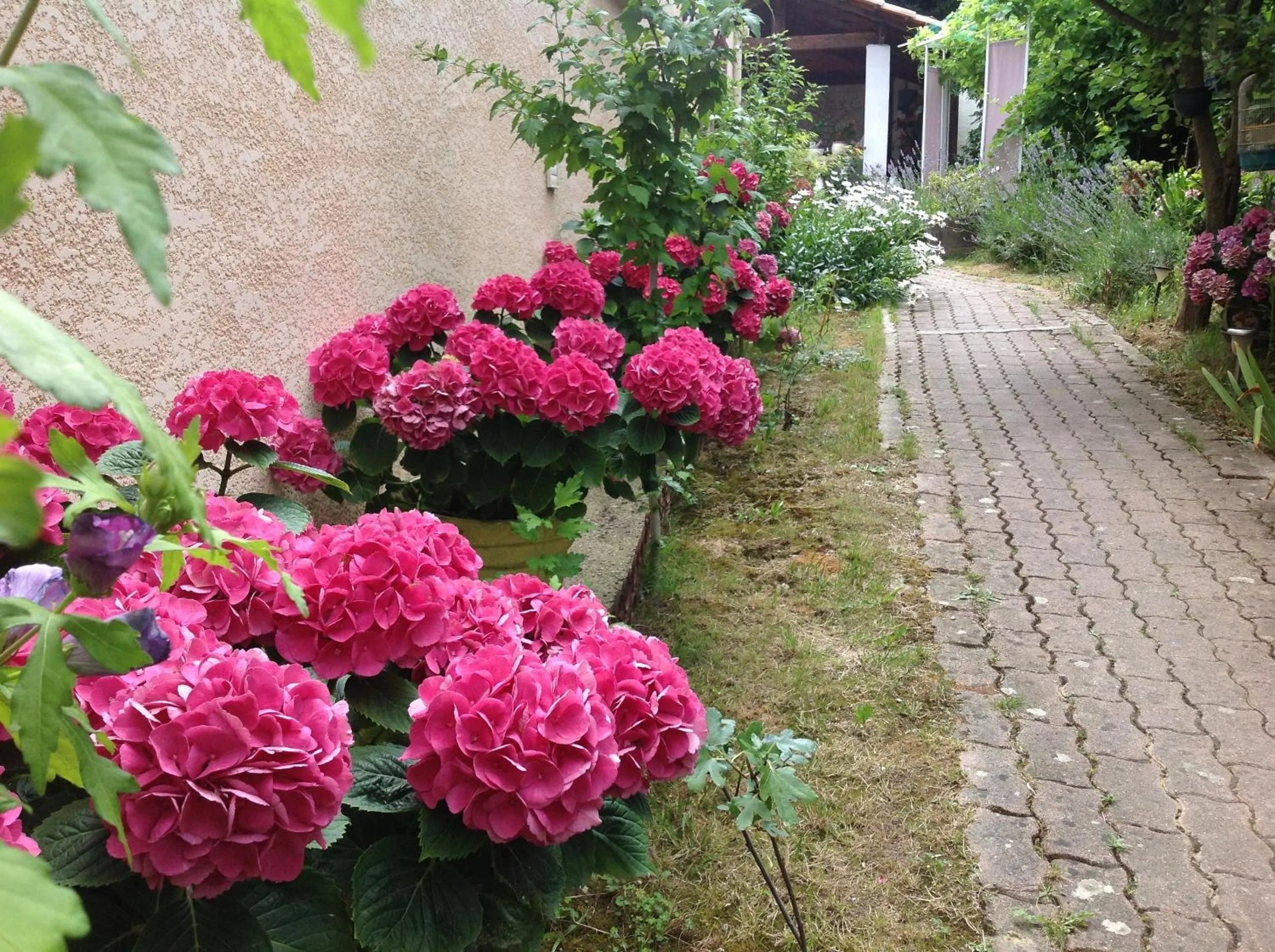 Garden in Bed & Breakfast Le Beauséjour