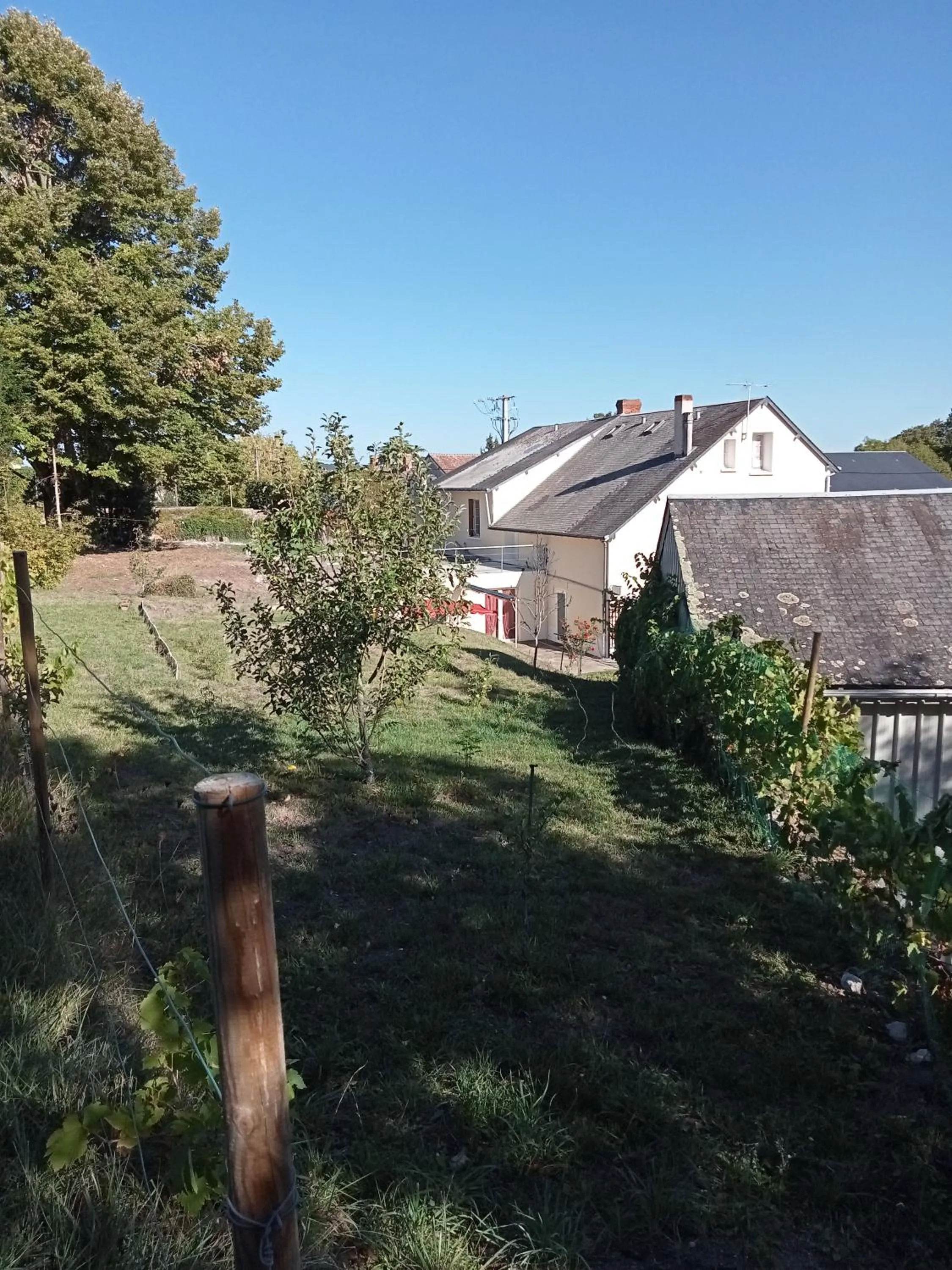 Natural landscape in Hôtel Restaurant de la Gare (Studios Du Breuil)
