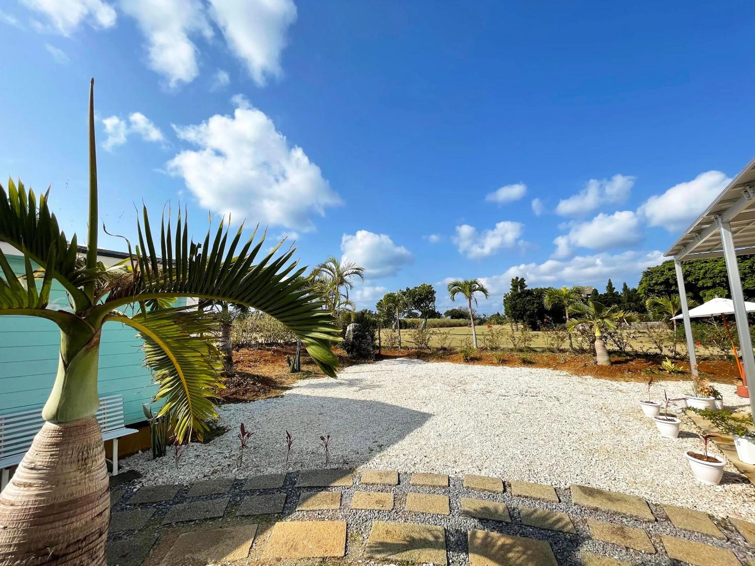 Garden in Guesthouse Koa