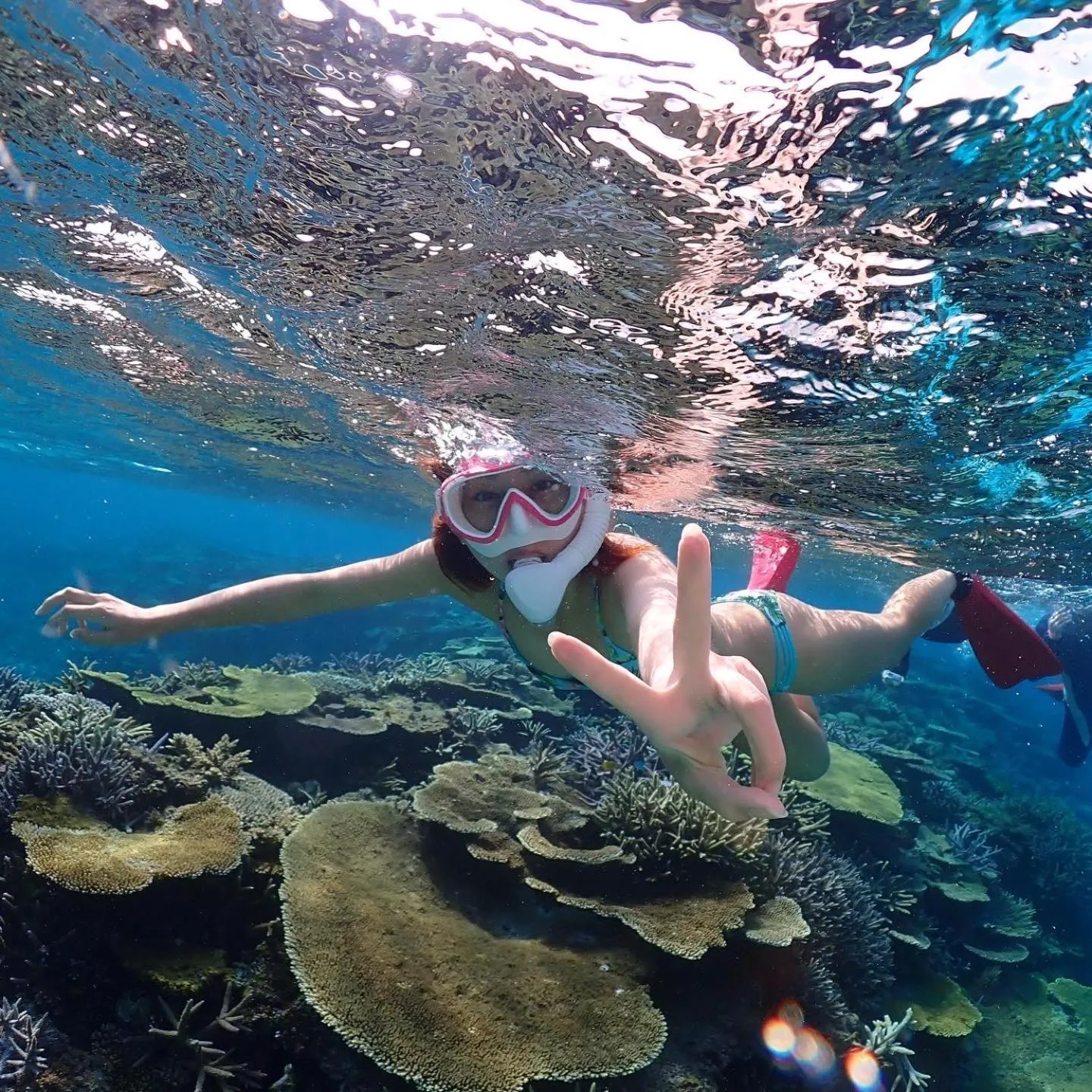 Snorkeling in Guesthouse Koa