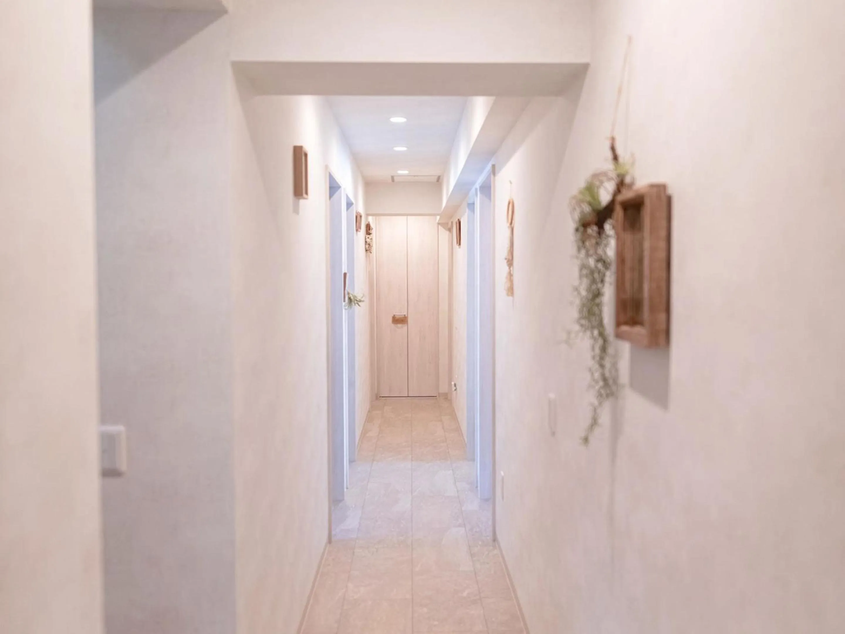 Area and facilities in Guesthouse Koa